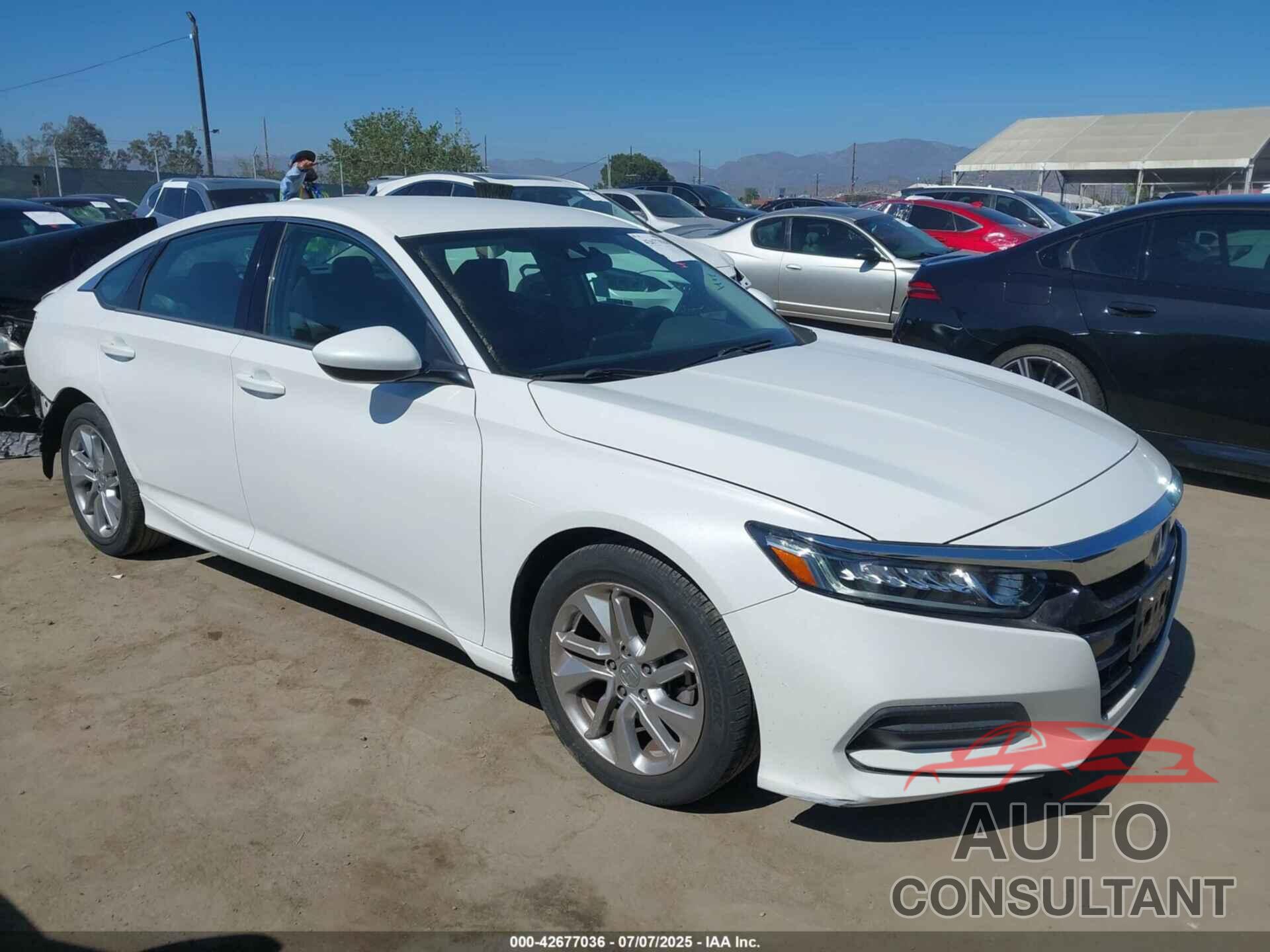 HONDA ACCORD 2019 - 1HGCV1F13KA098704