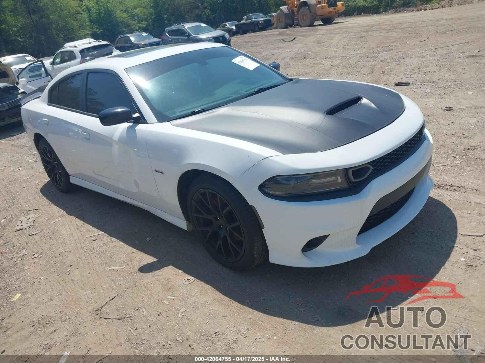 DODGE CHARGER 2019 - 2C3CDXCT3KH633059