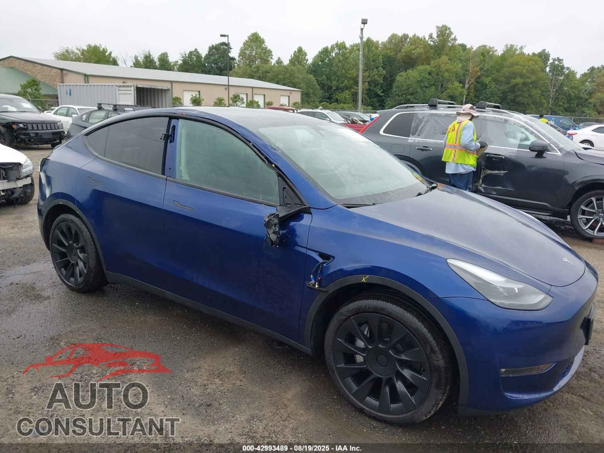 TESLA MODEL Y 2024 - 7SAYGAEE3RF117775