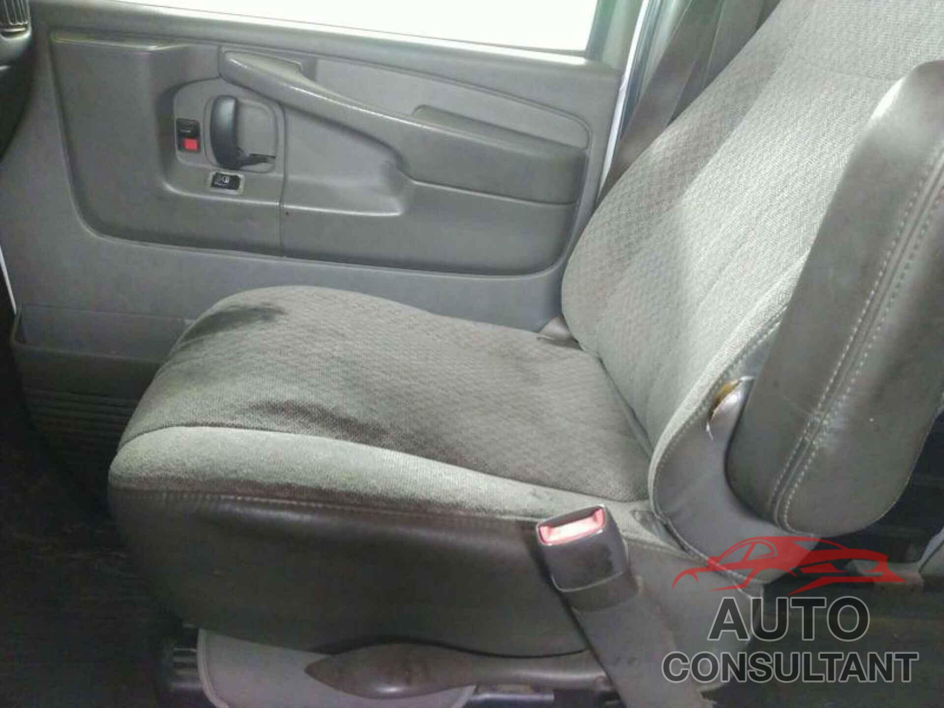 CHEVROLET EXPRESS G3500 2013 - 1GCZGTCA5D1159329