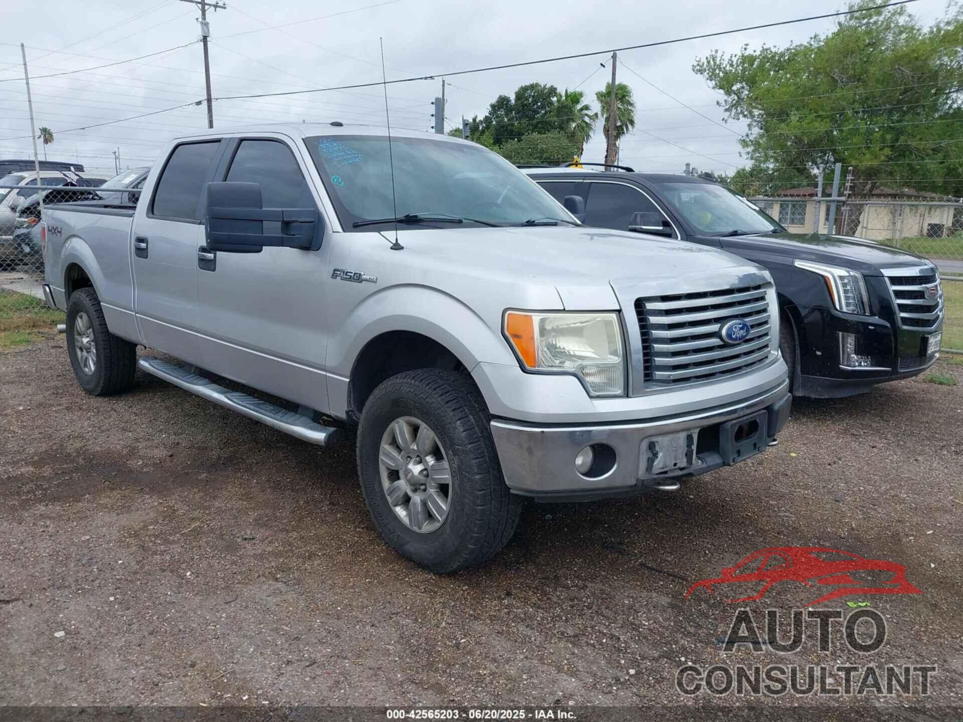 FORD F-150 2010 - 1FTFW1EVXAFB54135