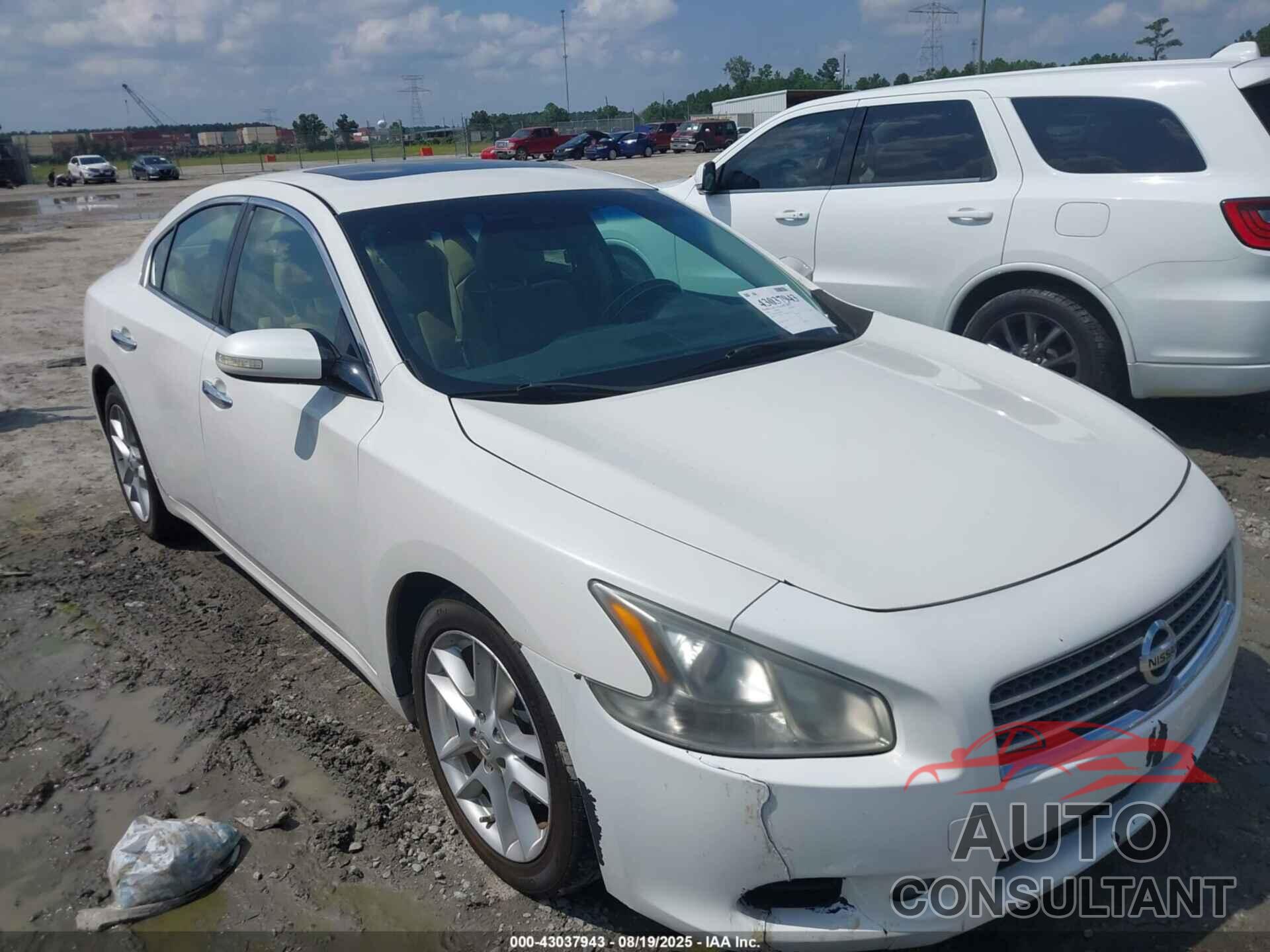 NISSAN MAXIMA 2009 - 1N4AA51E59C814705