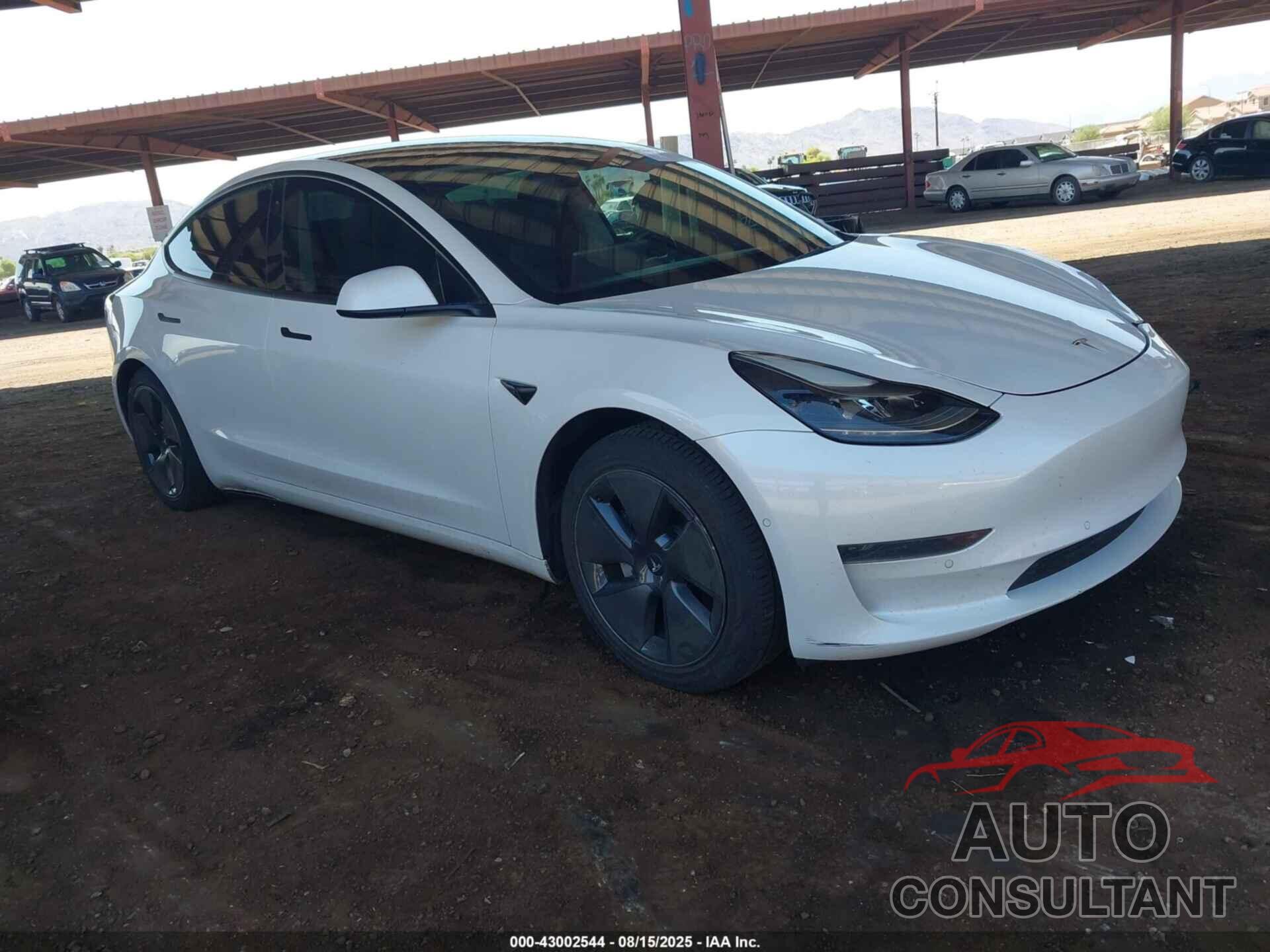 TESLA MODEL 3 2021 - 5YJ3E1EA3MF100798