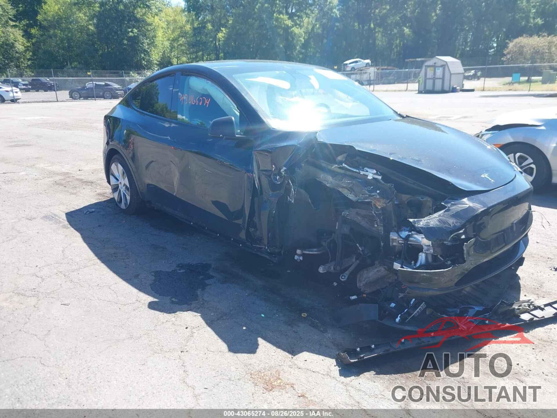 TESLA MODEL Y 2021 - 5YJYGDEE9MF077161