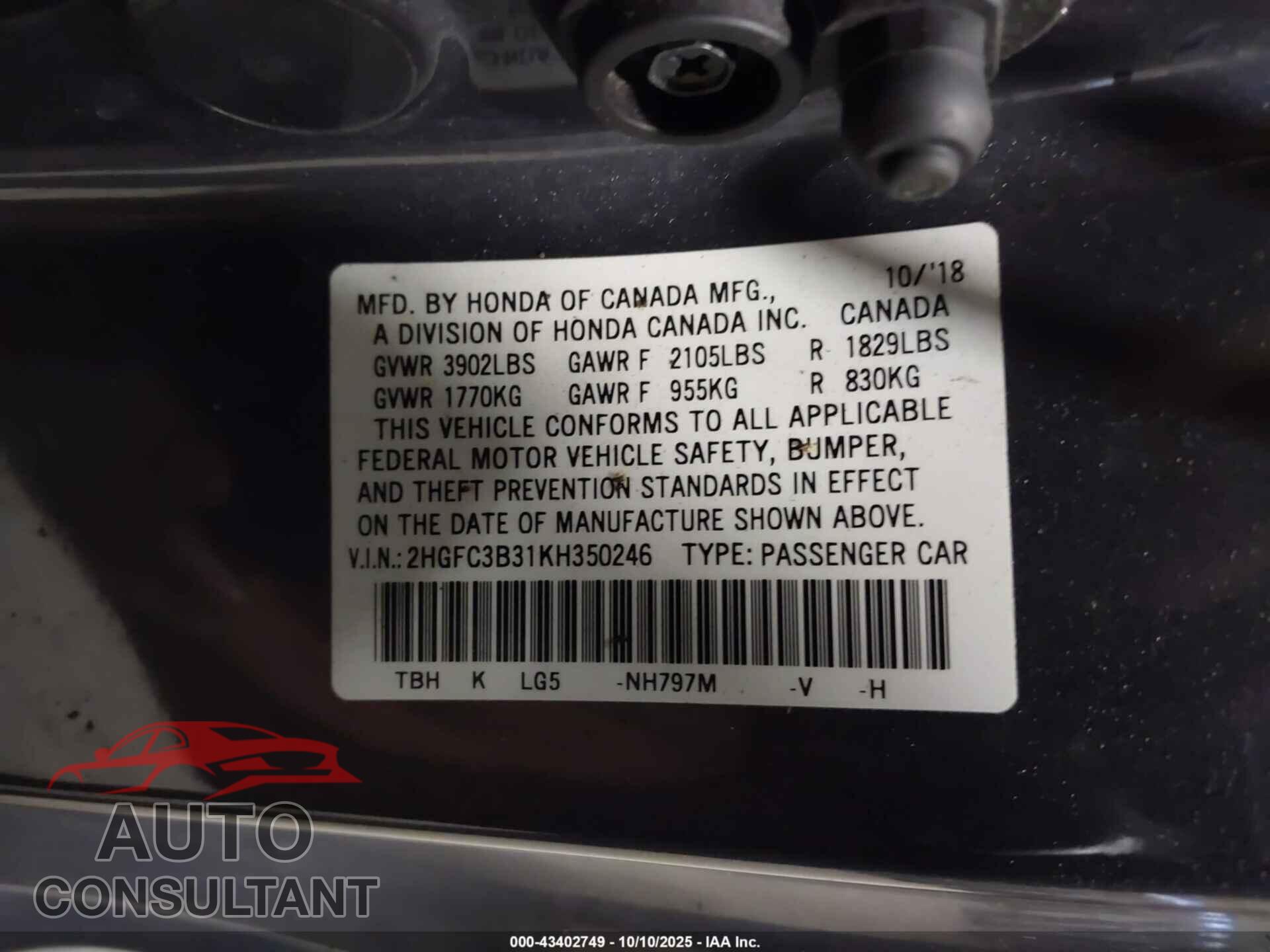 HONDA CIVIC 2019 - 2HGFC3B31KH350246