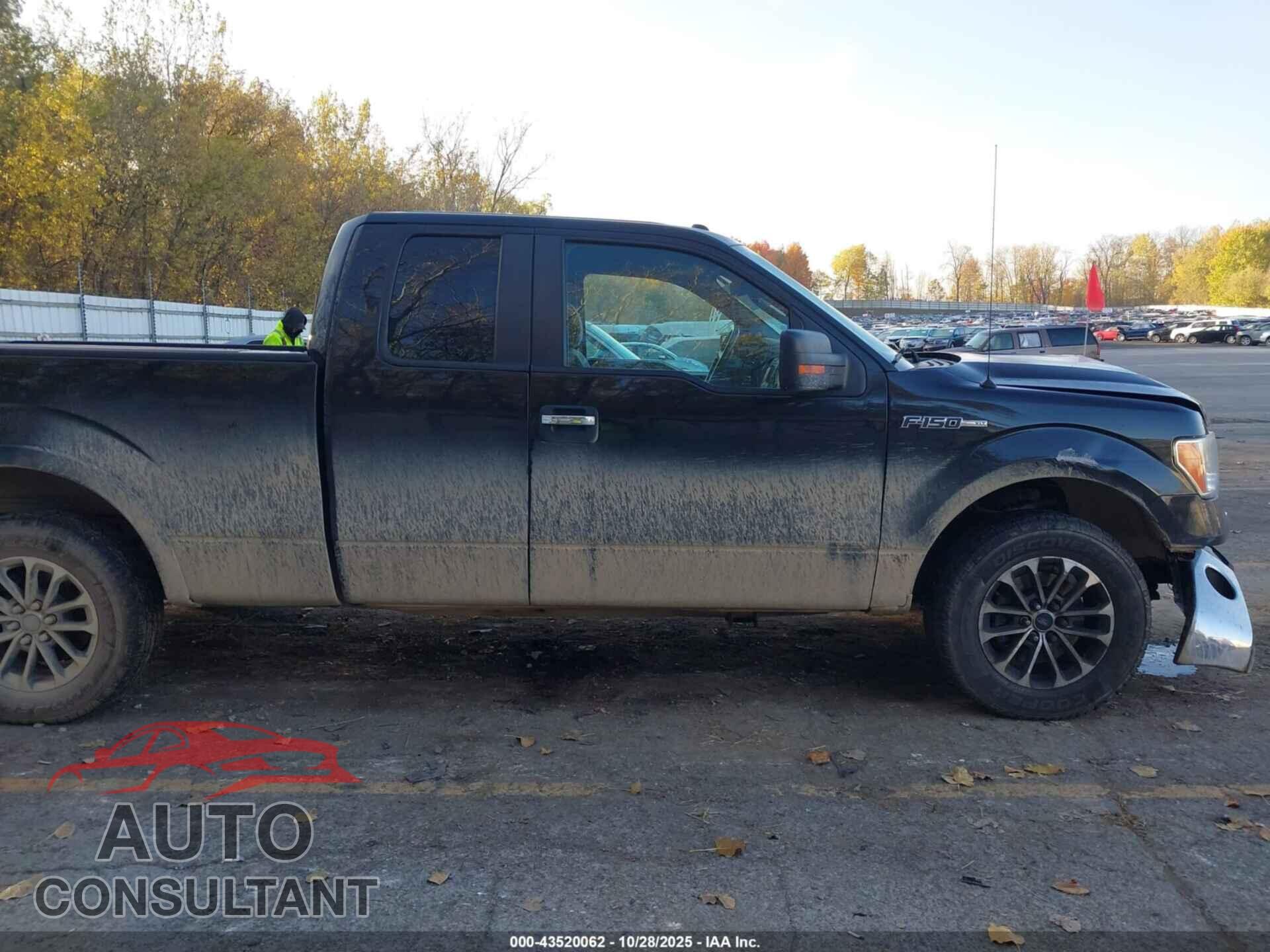 FORD F-150 2013 - 1FTFX1CF7DFD01864