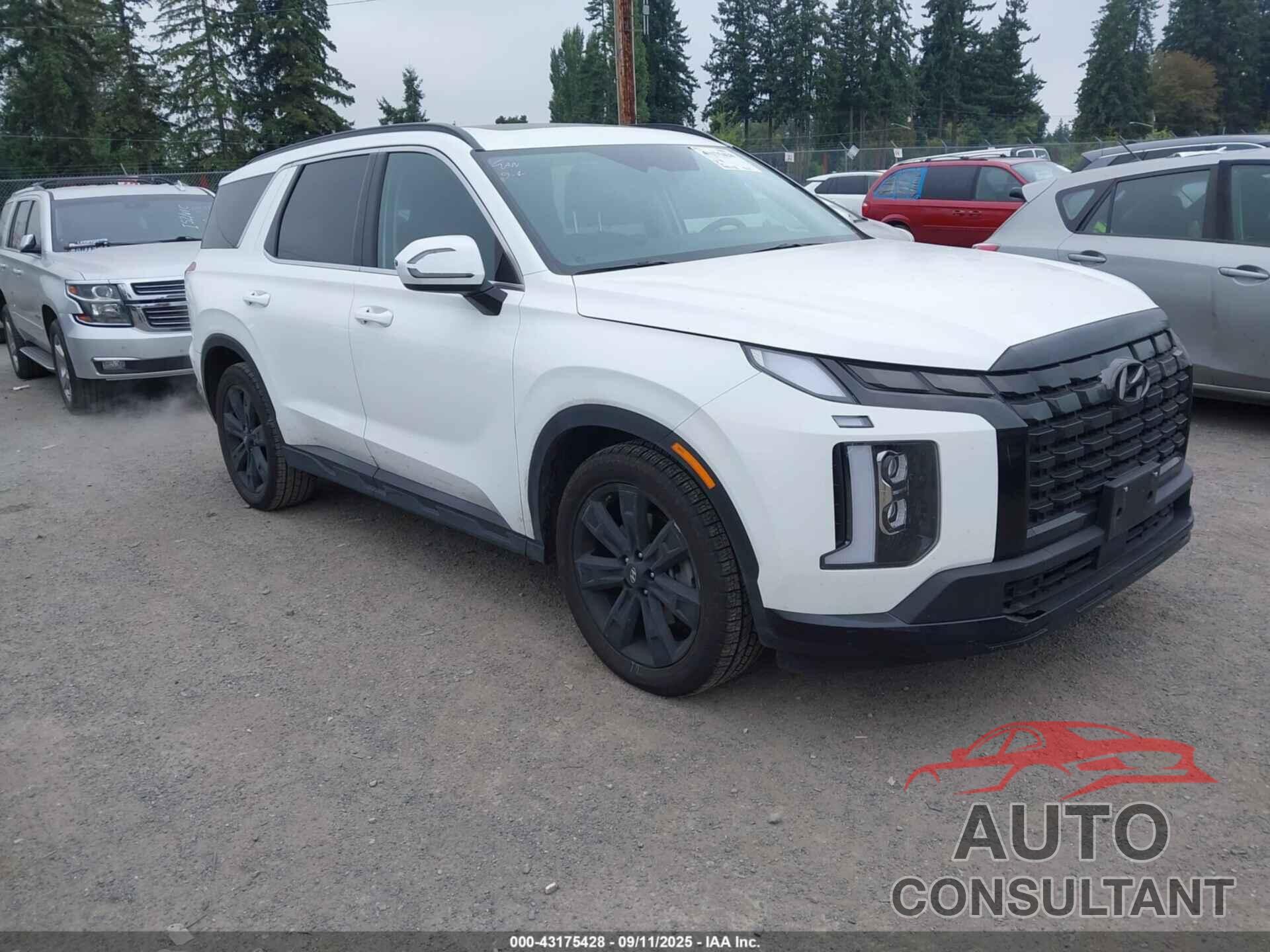 HYUNDAI PALISADE 2024 - KM8R34GE8RU679993