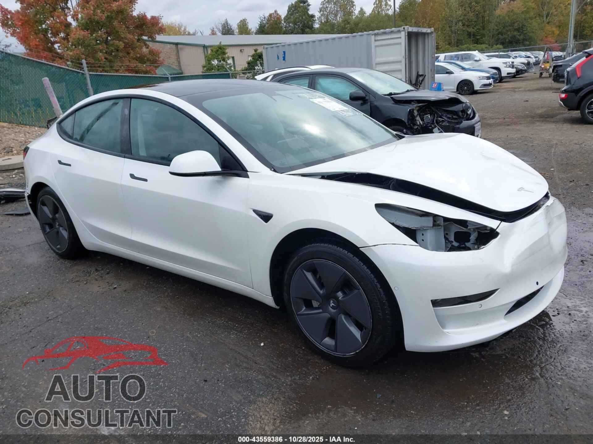 TESLA MODEL 3 2021 - 5YJ3E1EA5MF943143