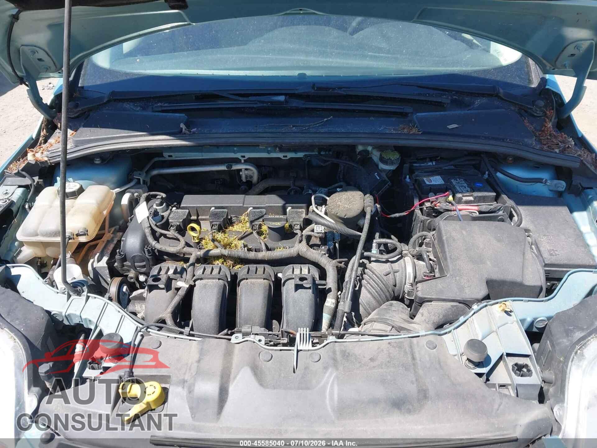 FORD FOCUS 2012 - 1FAHP3F20CL411285