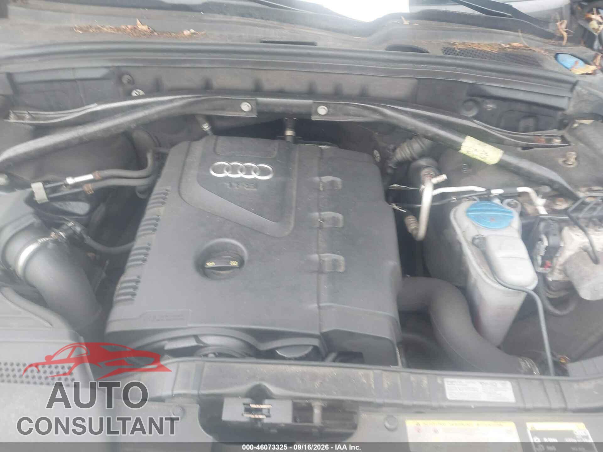 AUDI Q5 2013 - WA1LFAFP1DA007202