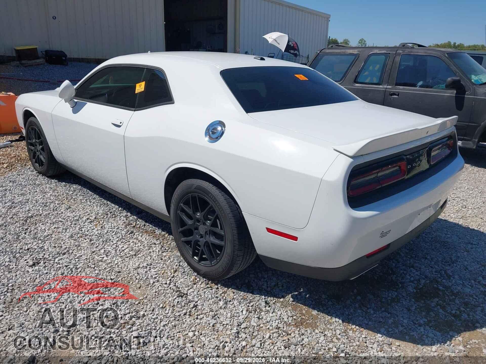 DODGE CHALLENGER 2019 - 2C3CDZAG9KH524445