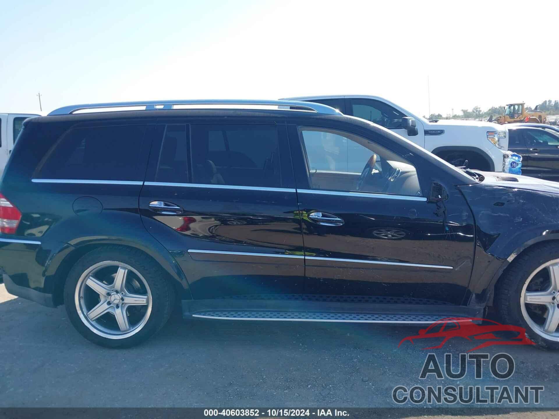 MERCEDES-BENZ GL 550 2009 - 4JGBF86E59A498918