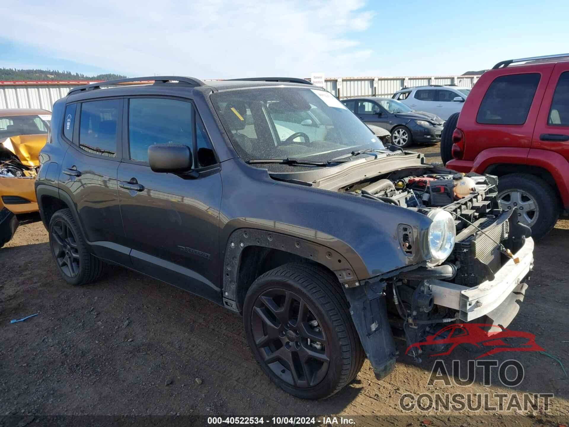 JEEP RENEGADE 2021 - ZACNJDBB2MPN13966