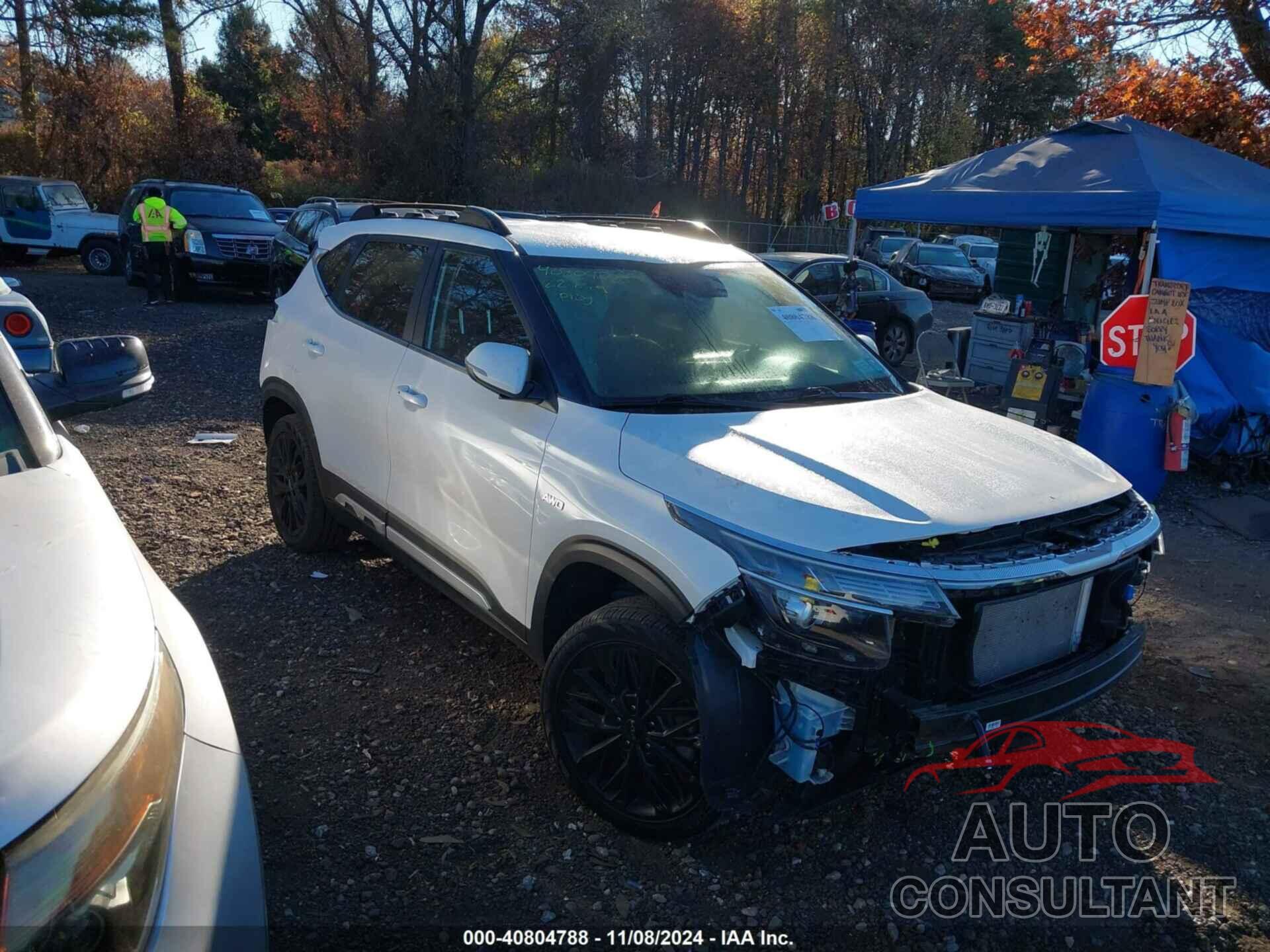 KIA SELTOS 2022 - KNDEUCA24N7276885