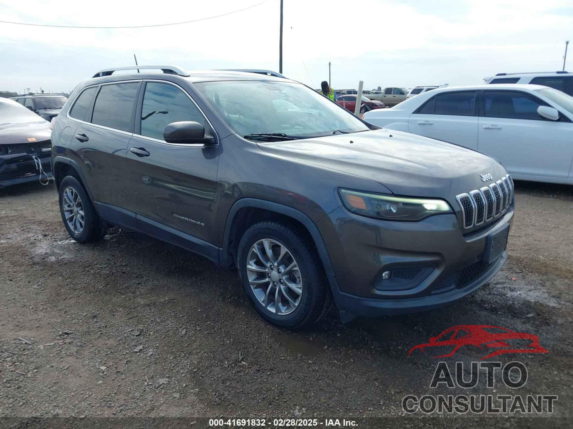 JEEP CHEROKEE 2019 - 1C4PJLLB4KD403310