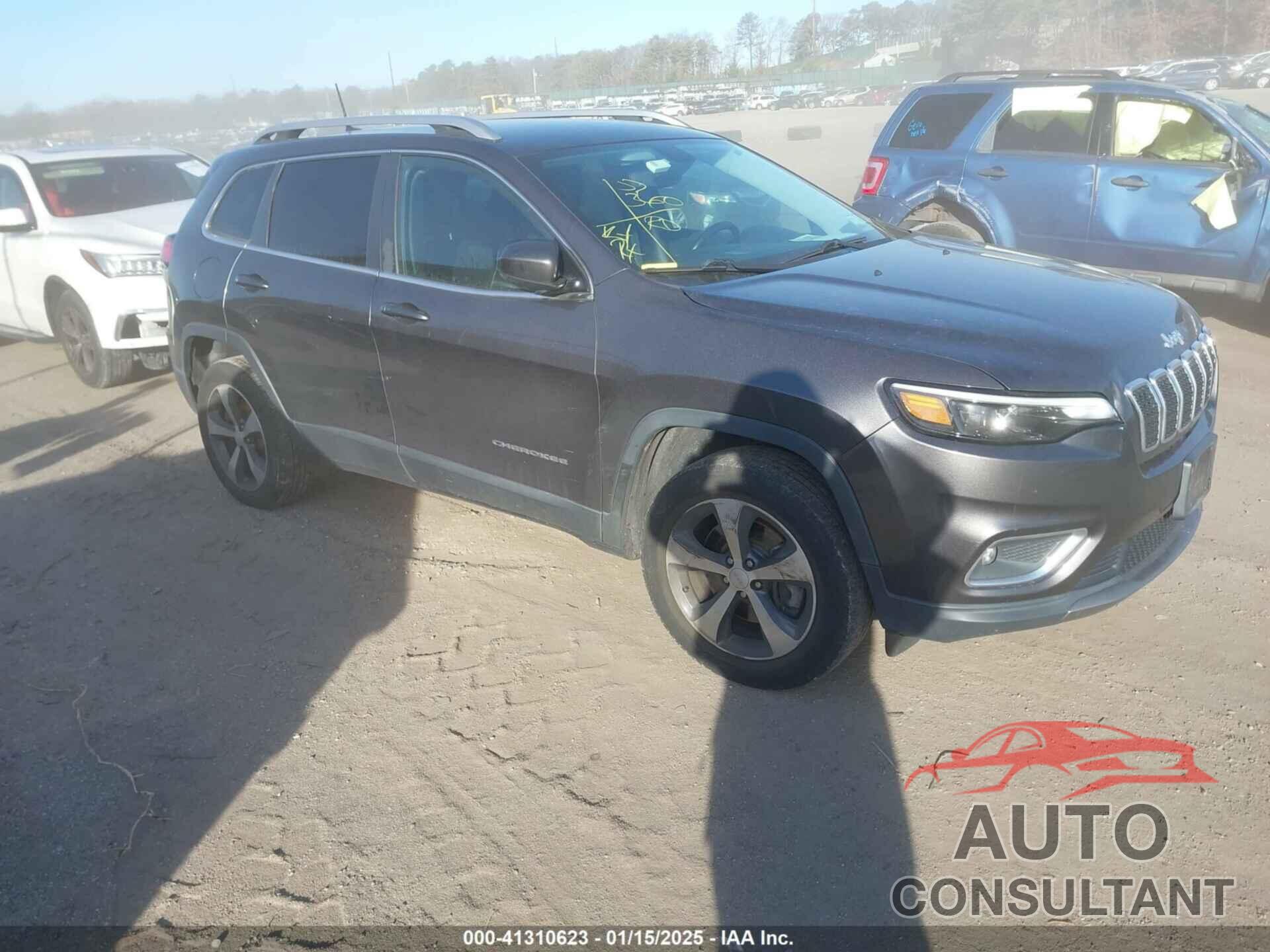 JEEP CHEROKEE 2019 - 1C4PJMDX1KD260445