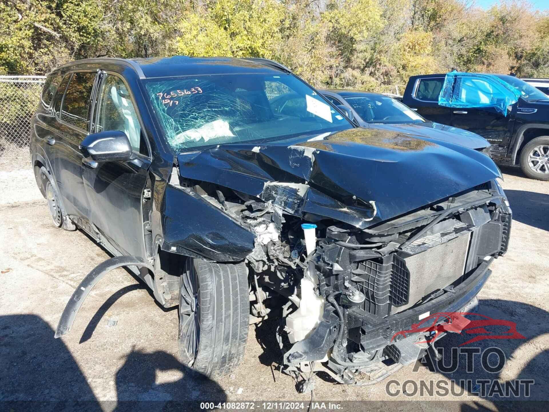 HYUNDAI PALISADE 2024 - KM8R74GE2RU710126