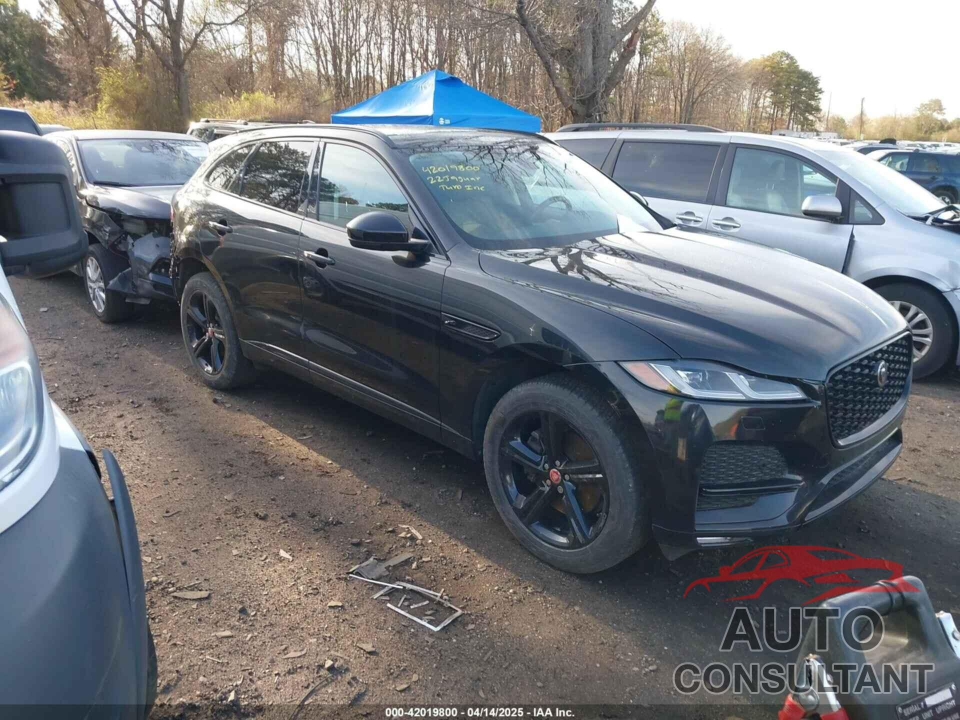 JAGUAR F-PACE 2022 - SADCJ2EX5NA698042