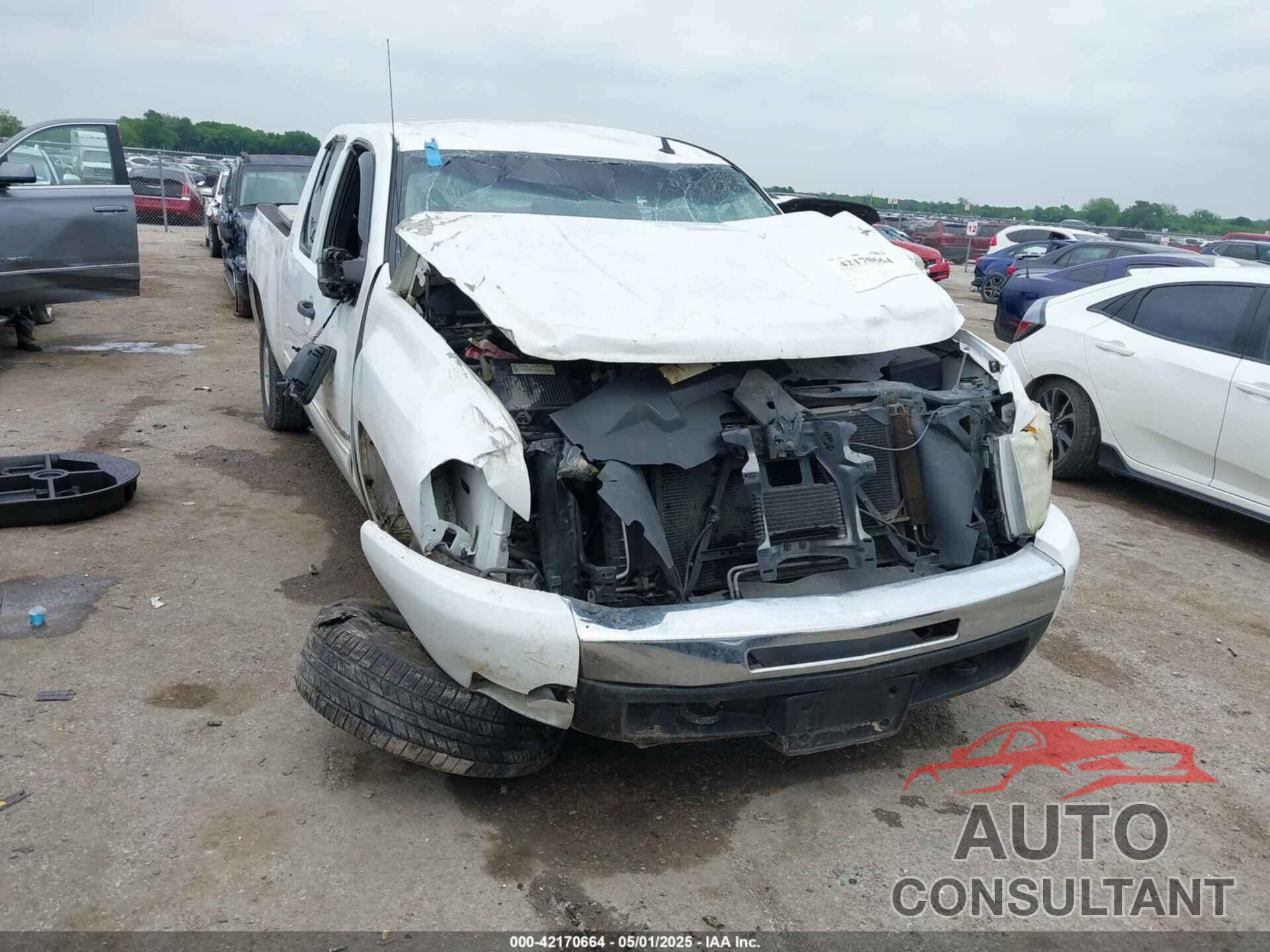 CHEVROLET SILVERADO 1500 2009 - 1GCEC29J29Z120122