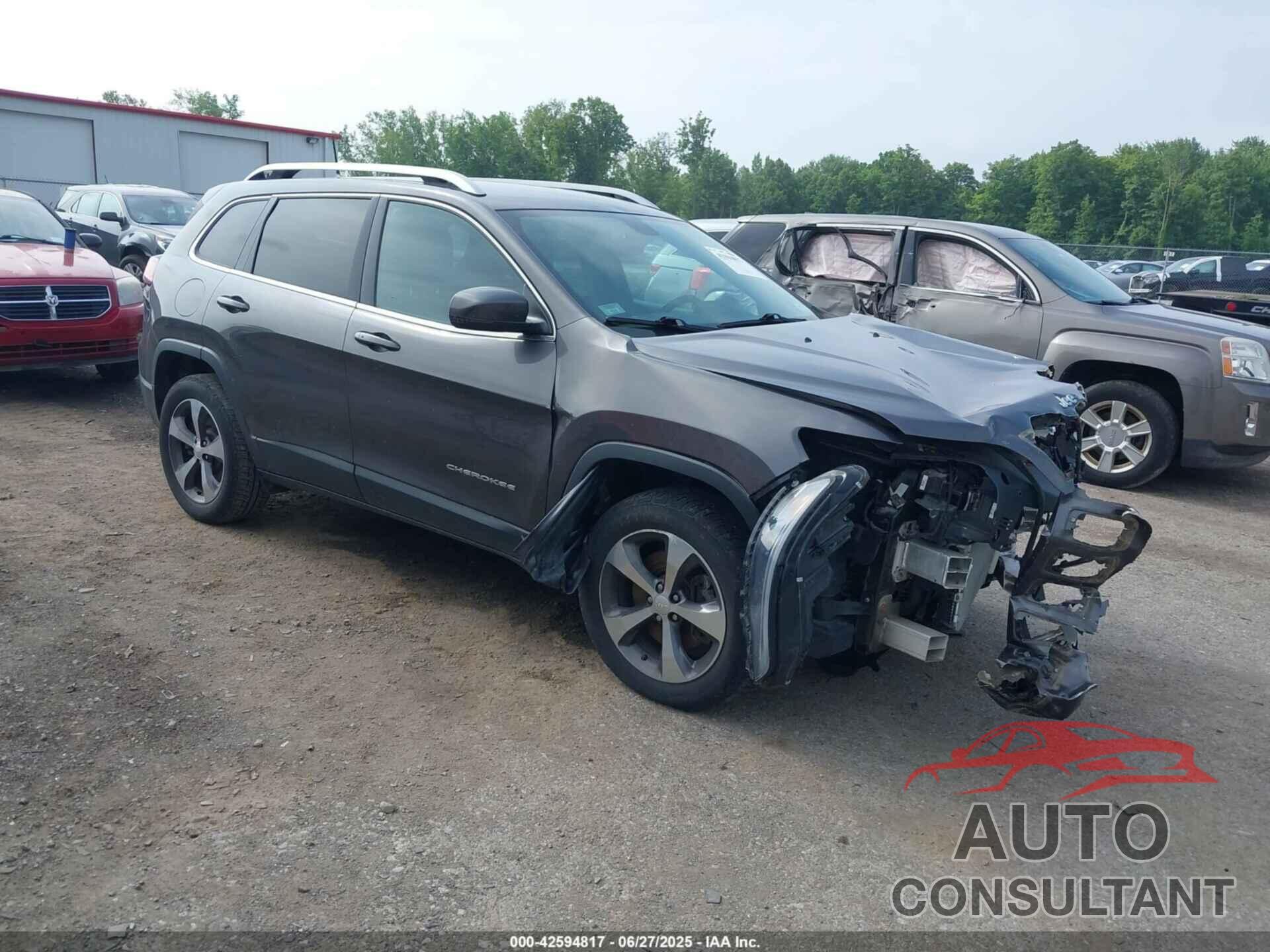JEEP CHEROKEE 2019 - 1C4PJMDX4KD260309