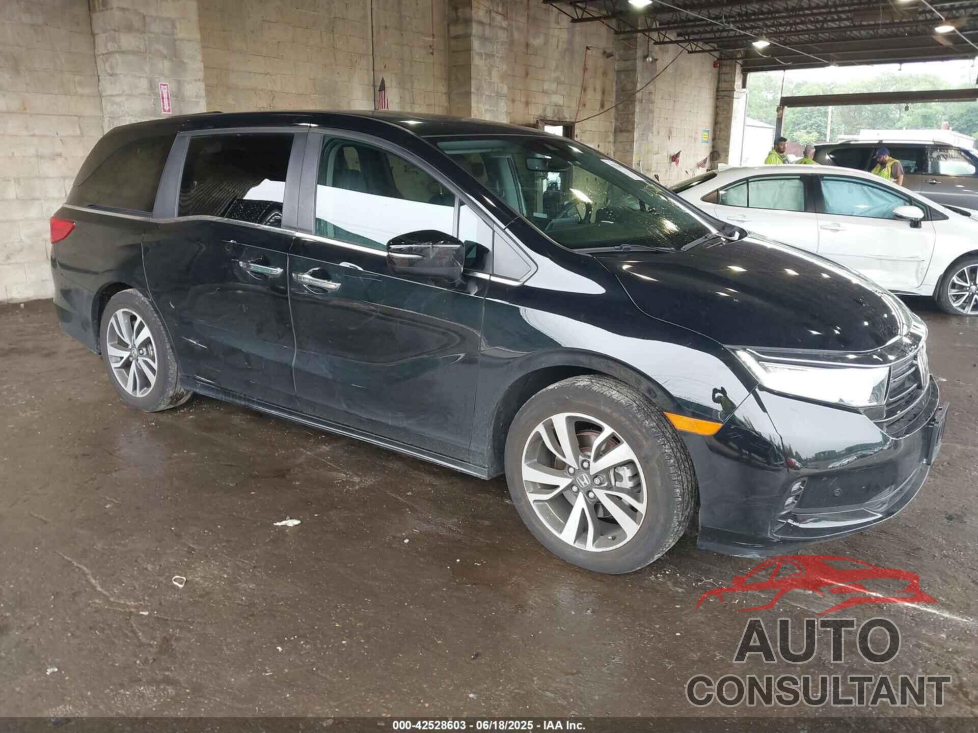 HONDA ODYSSEY 2024 - 5FNRL6H87RB054986