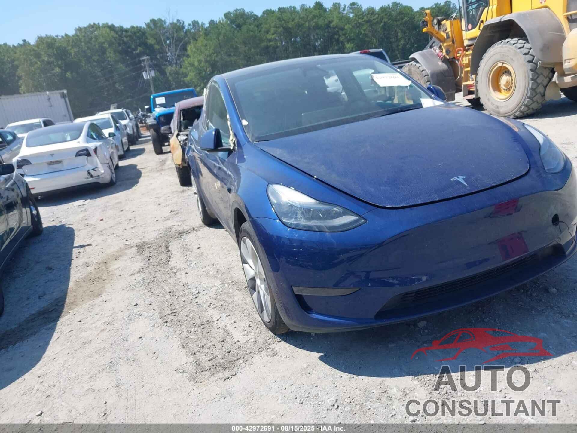 TESLA MODEL Y 2024 - 7SAYGDEE0RA269284