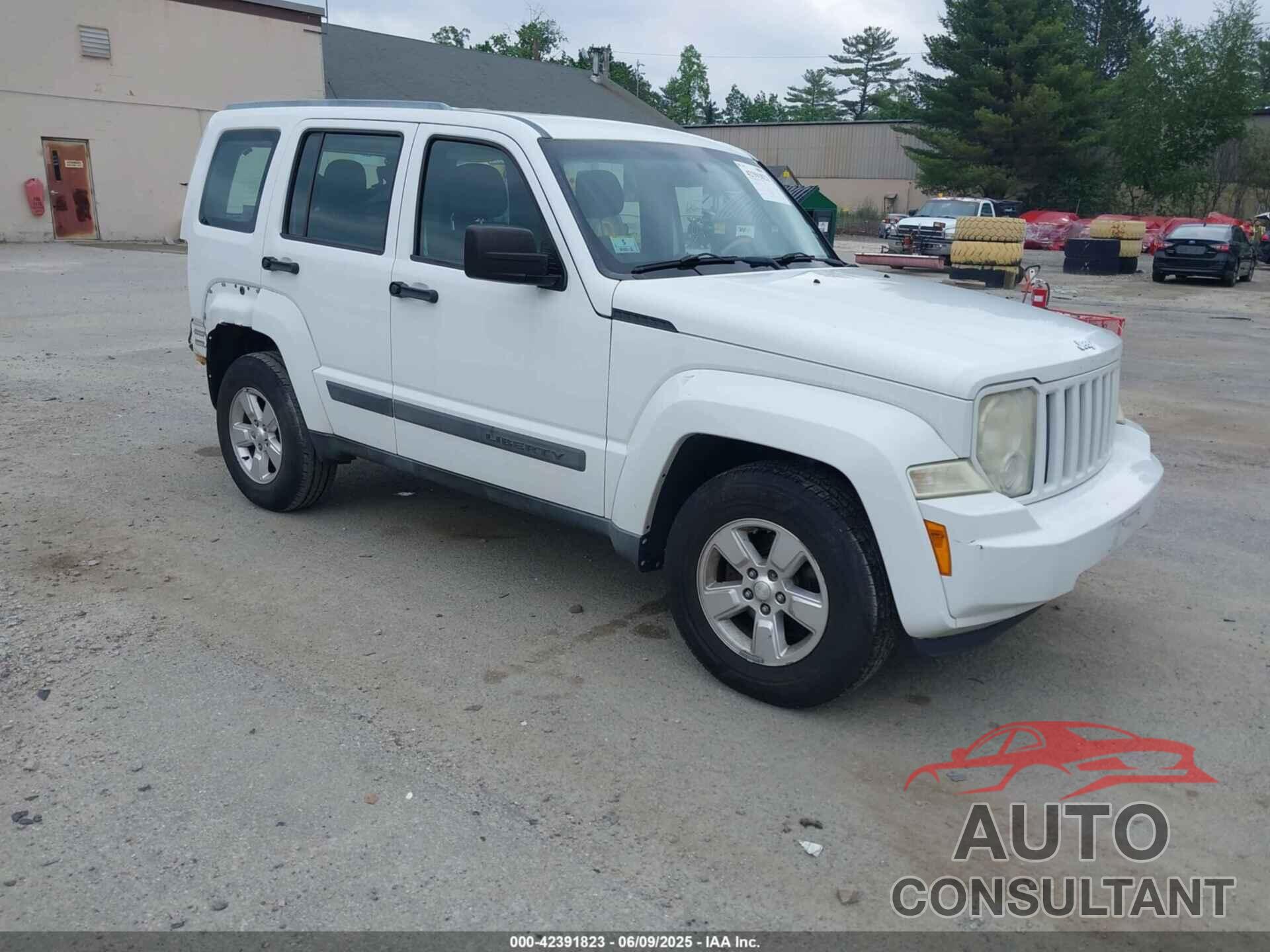 JEEP LIBERTY 2011 - 1J4PN2GK3BW579854