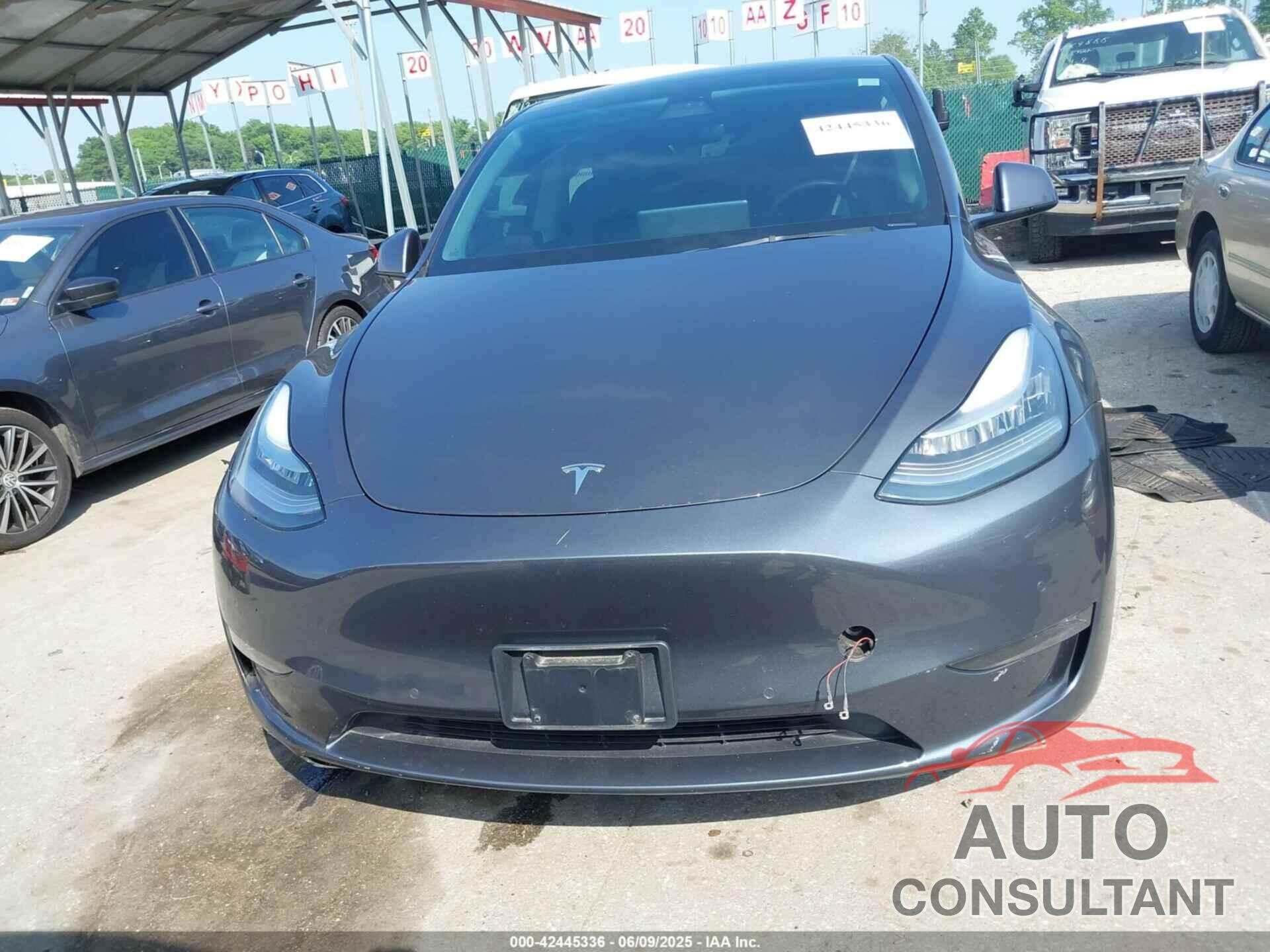 TESLA MODEL Y 2021 - 5YJYGAEE7MF146315