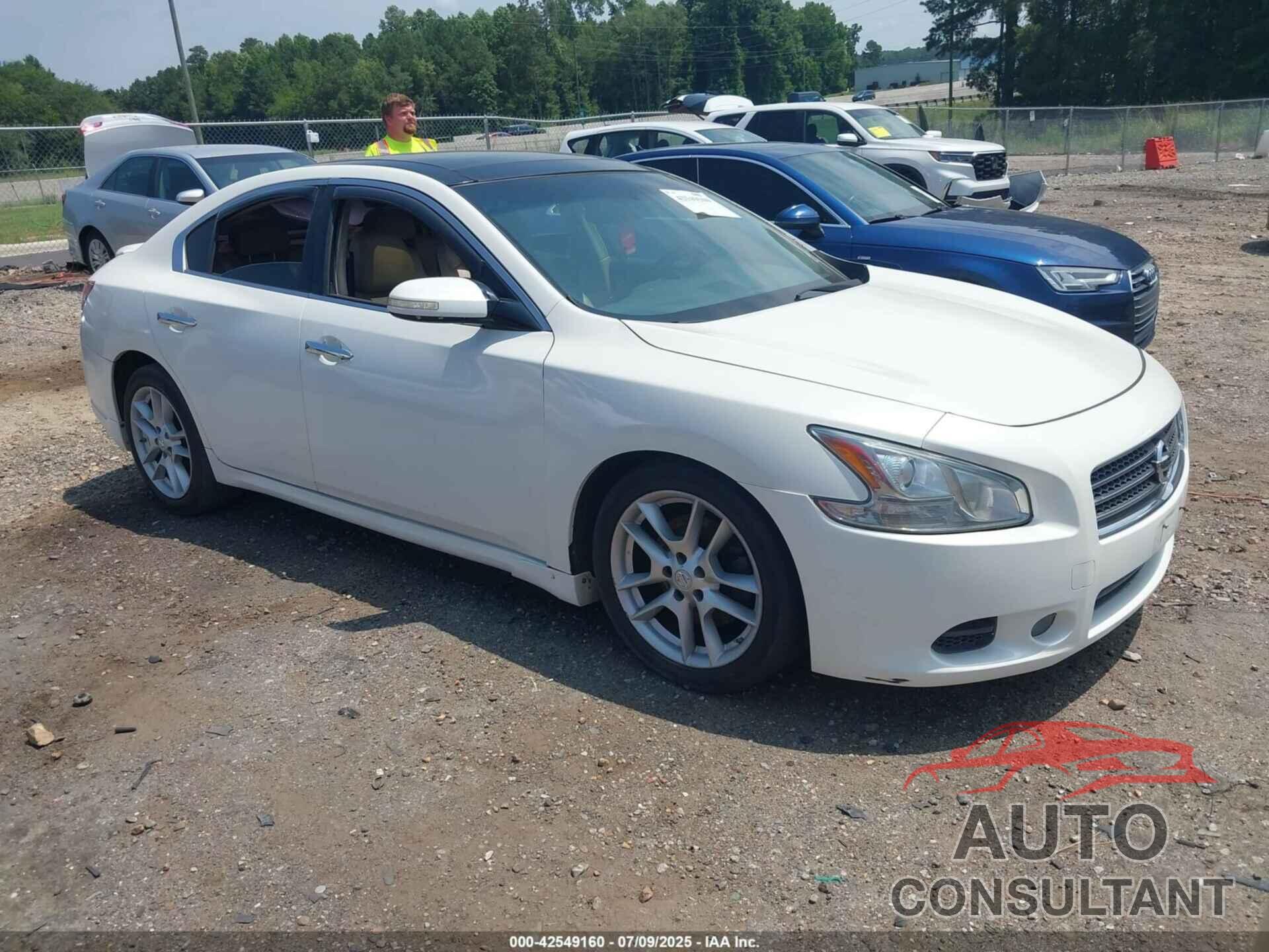 NISSAN MAXIMA 2009 - 1N4AA51E49C858615