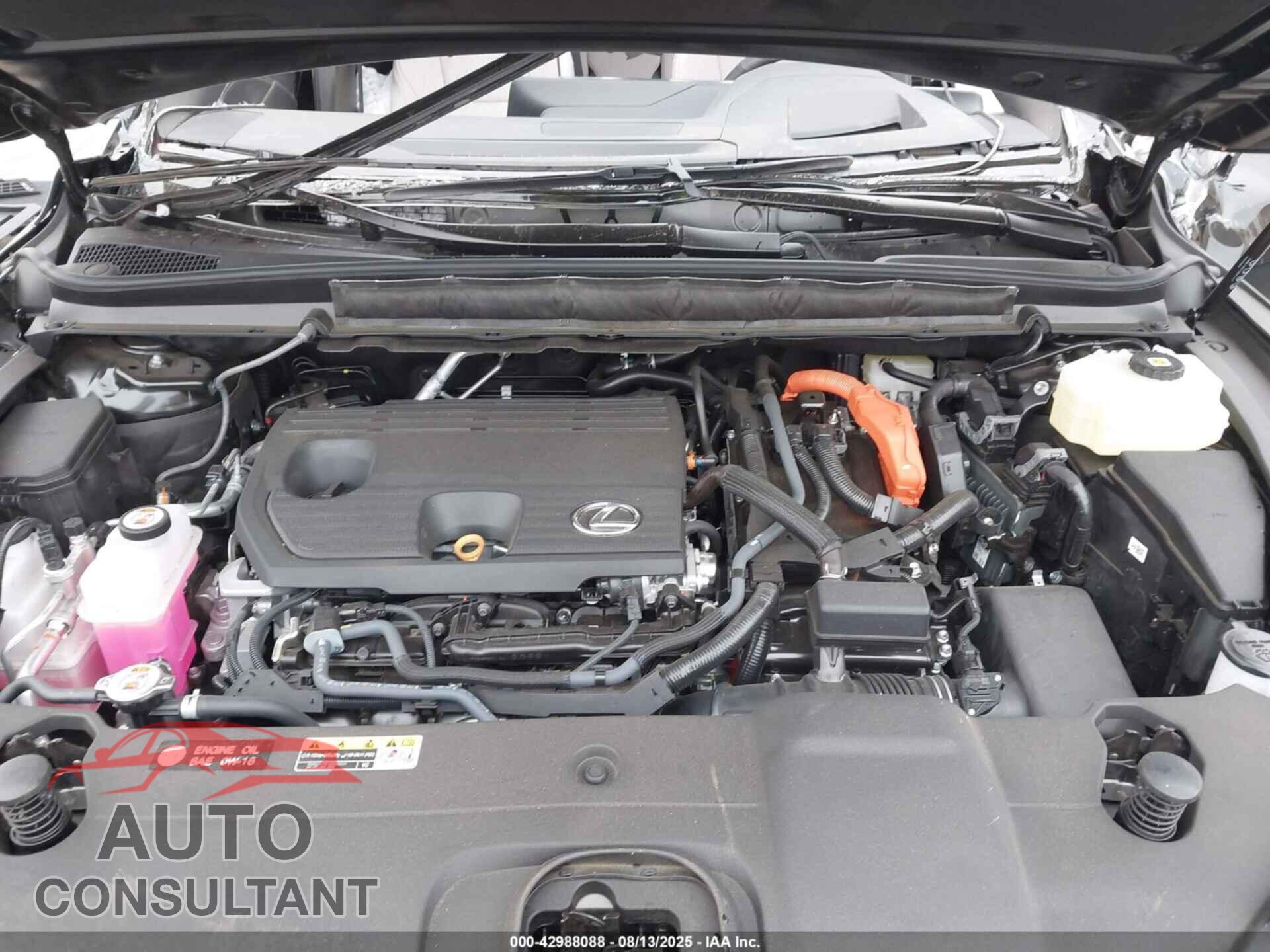 LEXUS RX 2025 - 2T2BBMCAXSC077302