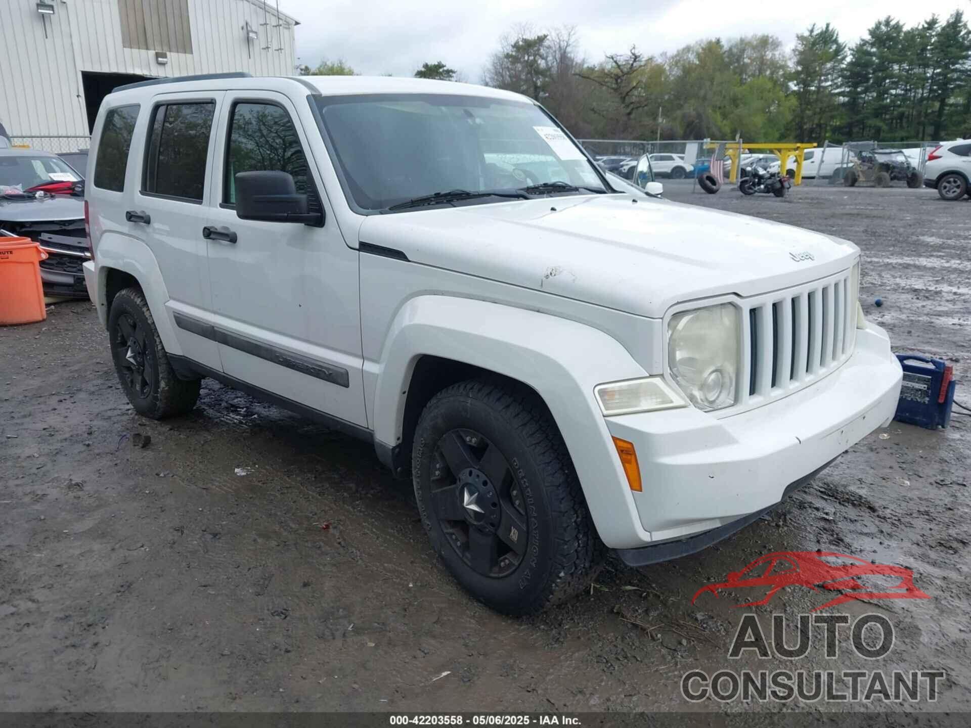 JEEP LIBERTY 2011 - 1J4PN2GK4BW531568