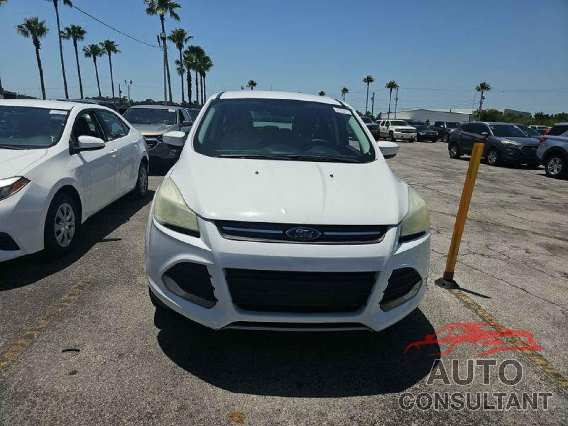 FORD ESCAPE 2014 - 1FMCU0GX9EUE01742