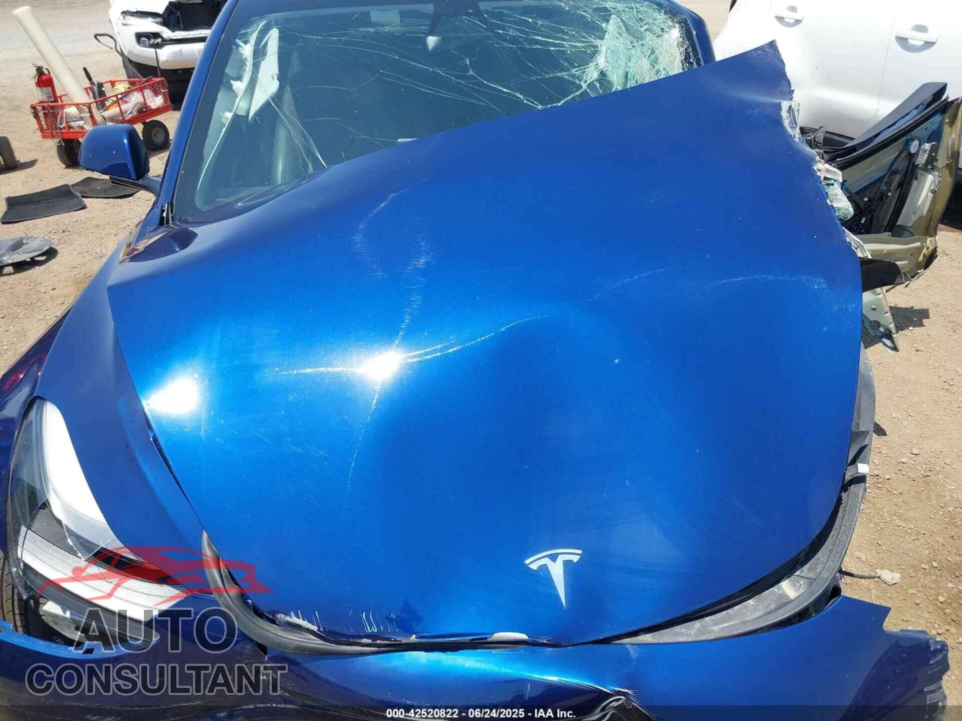 TESLA MODEL 3 2021 - 5YJ3E1EA5MF921496