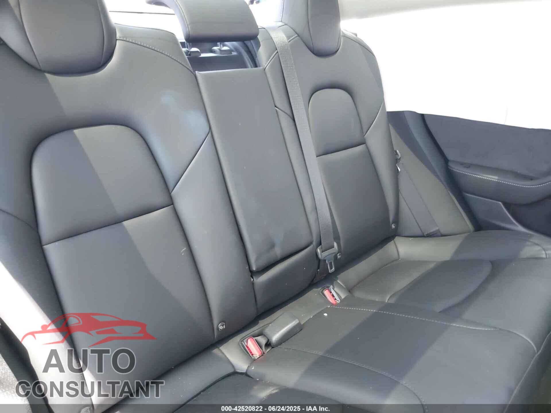 TESLA MODEL 3 2021 - 5YJ3E1EA5MF921496