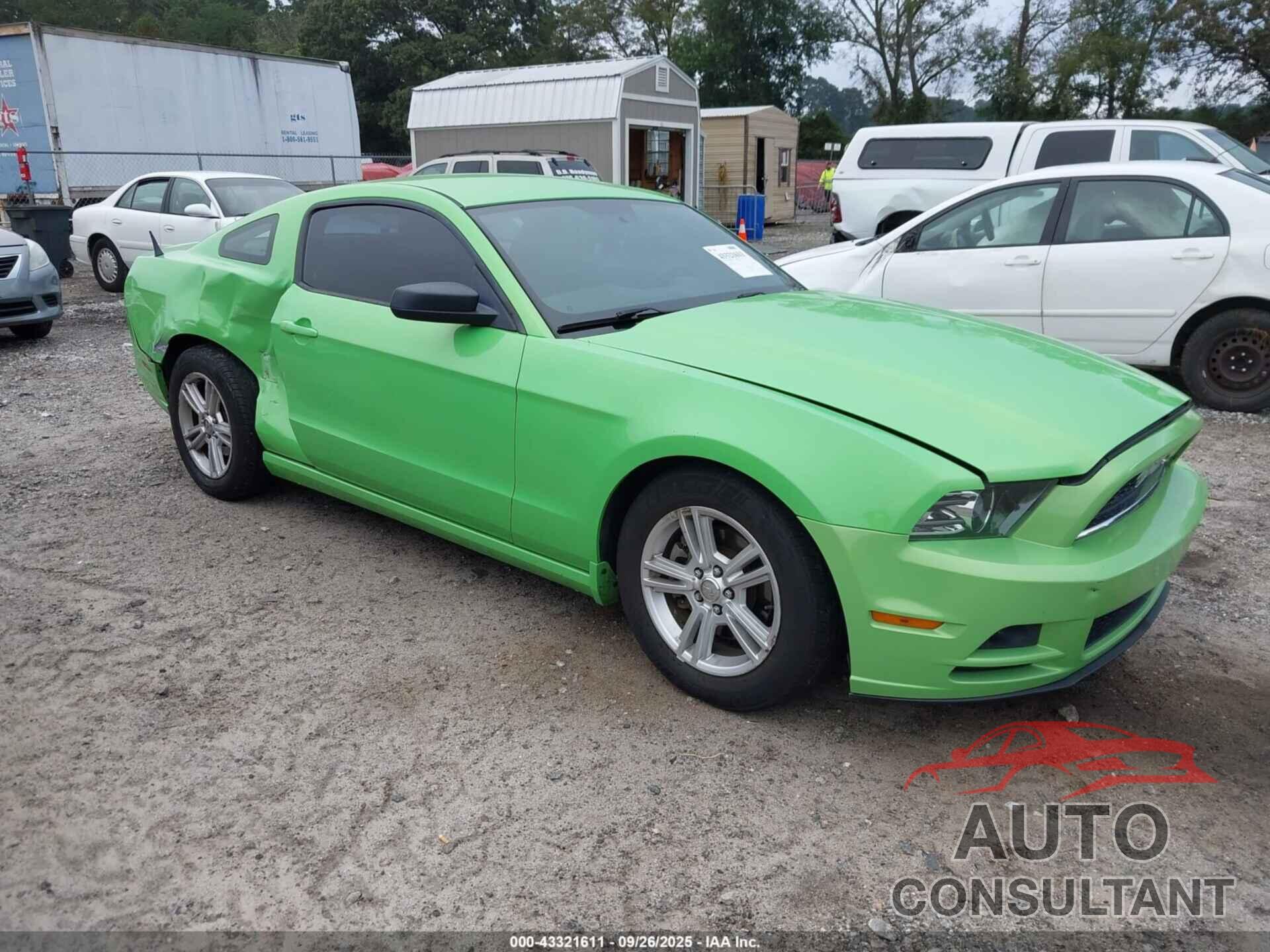 FORD MUSTANG 2013 - 1ZVBP8AM0D5248999