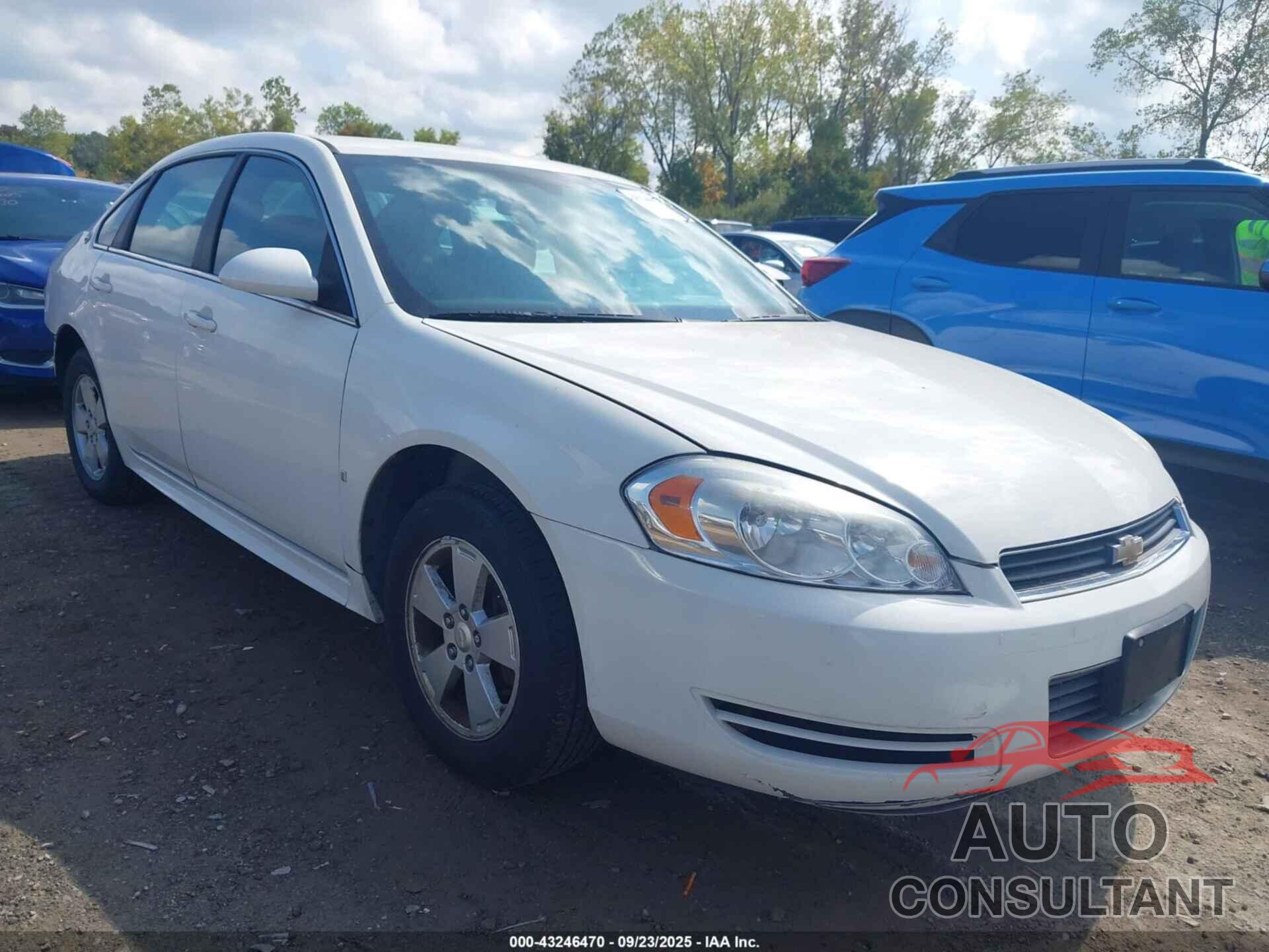 CHEVROLET IMPALA 2009 - 2G1WT57K491176906