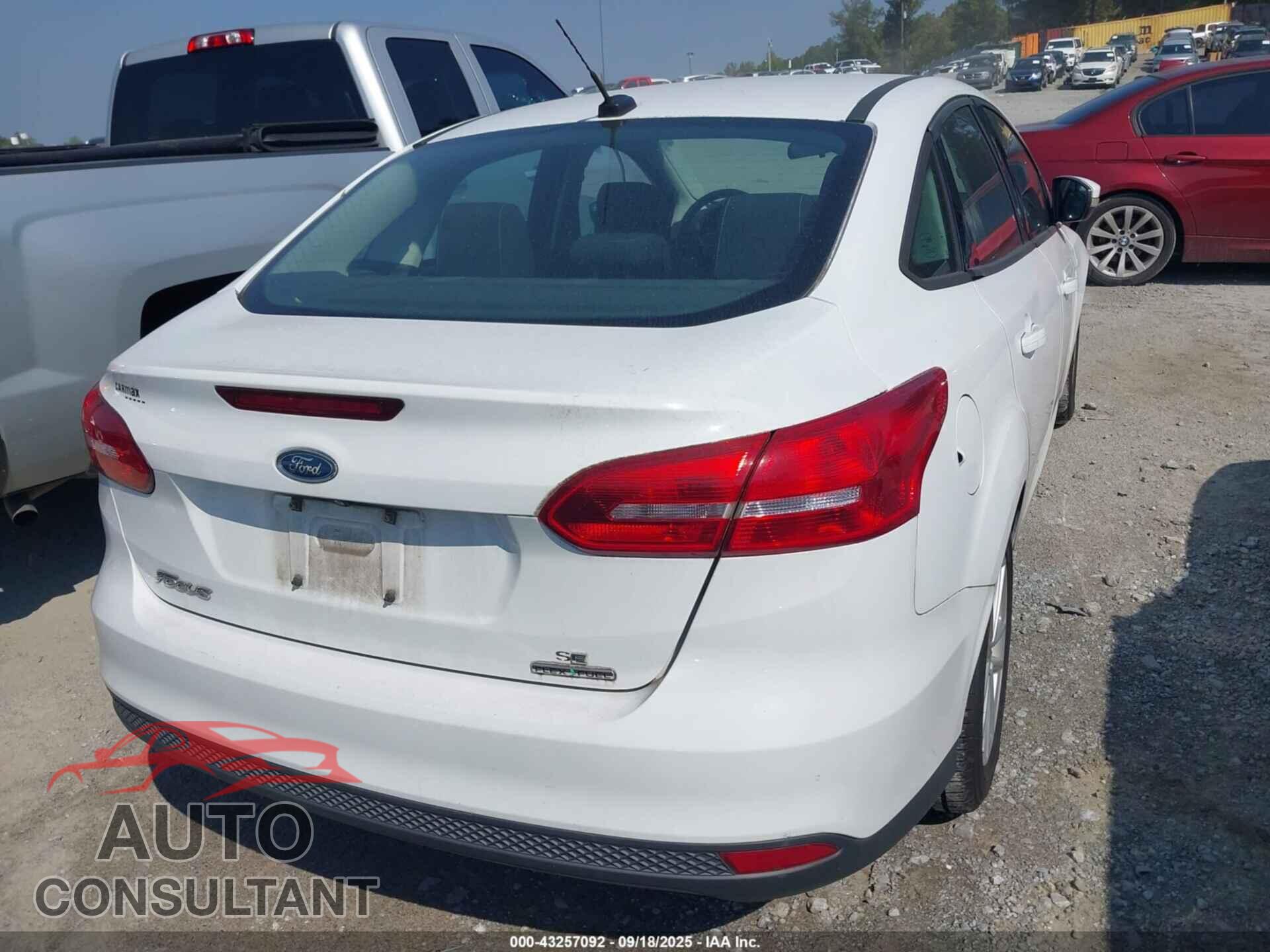 FORD FOCUS 2016 - 1FADP3F23GL320287