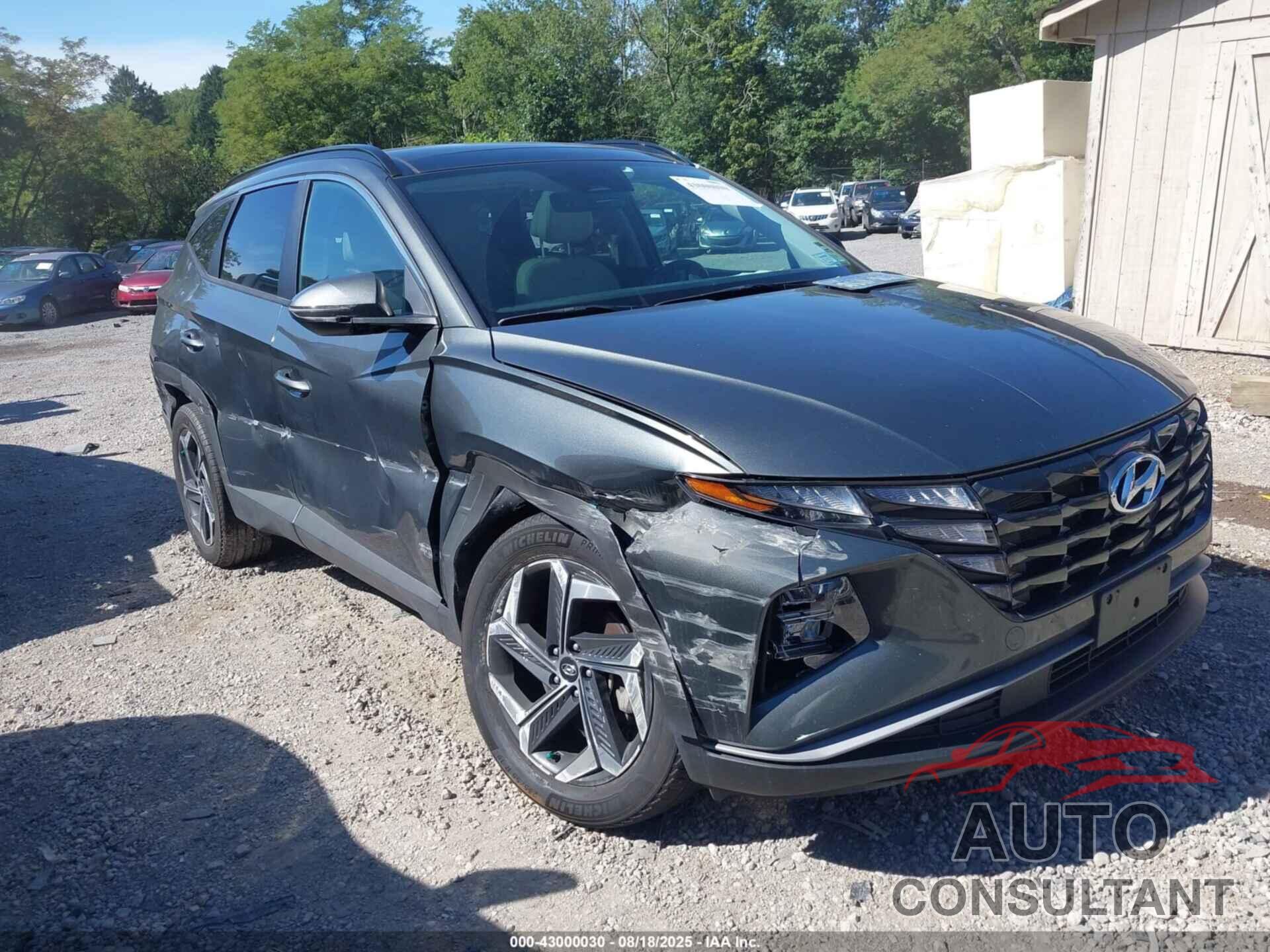 HYUNDAI TUCSON HYBRID 2024 - KM8JCCD12RU215817