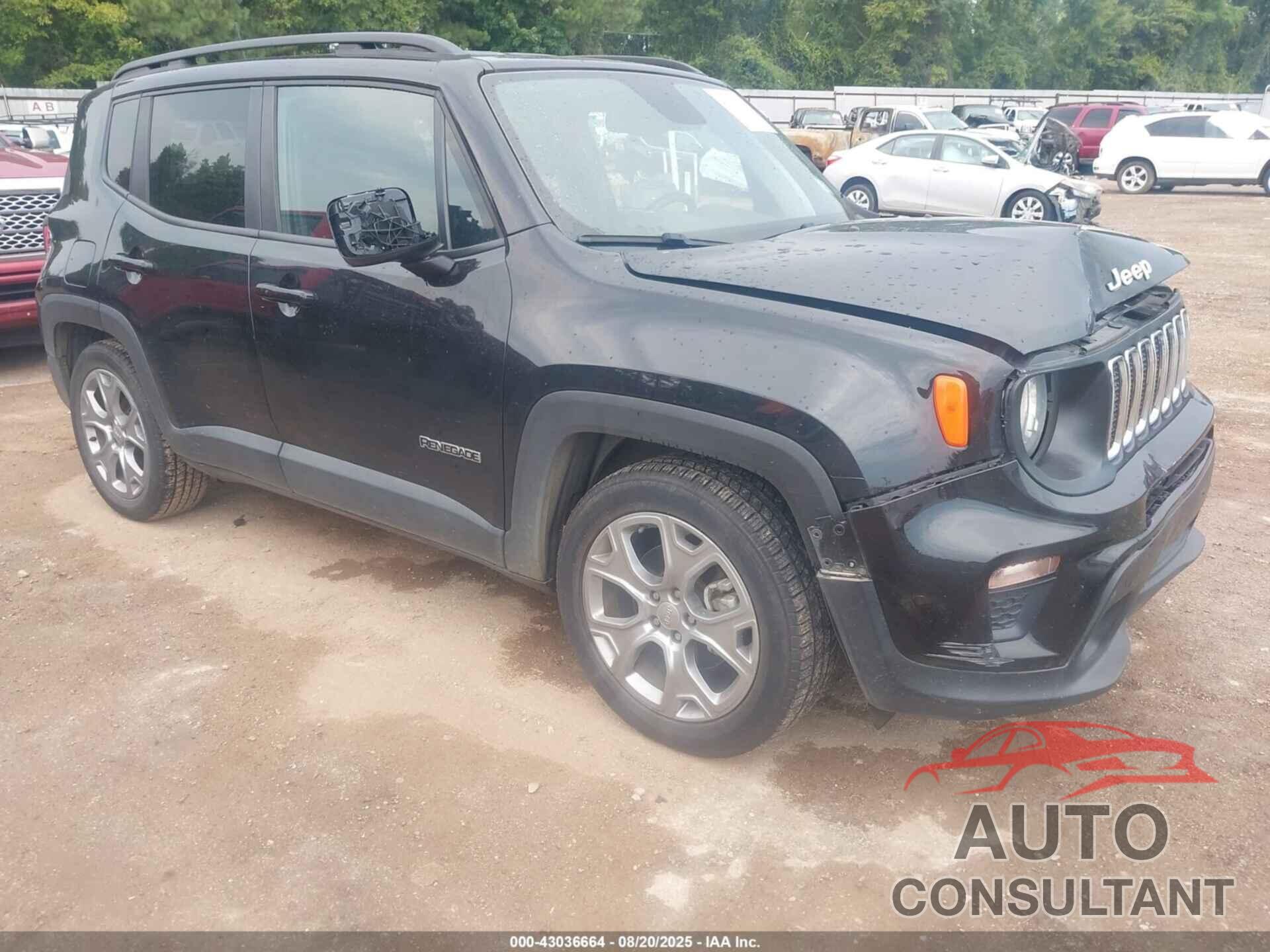 JEEP RENEGADE 2019 - ZACNJABB0KPK56883