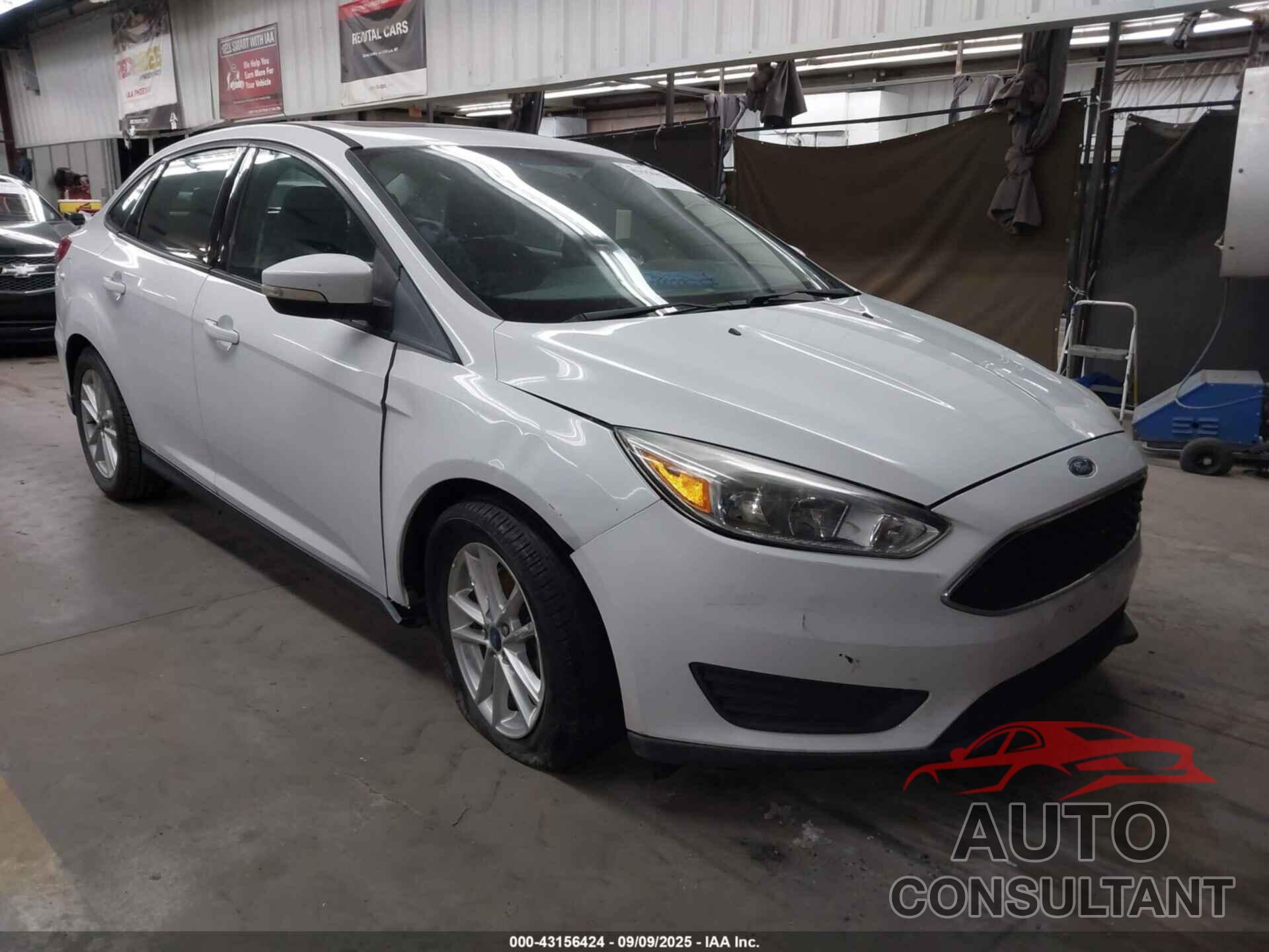 FORD FOCUS 2016 - 1FADP3F28GL348490
