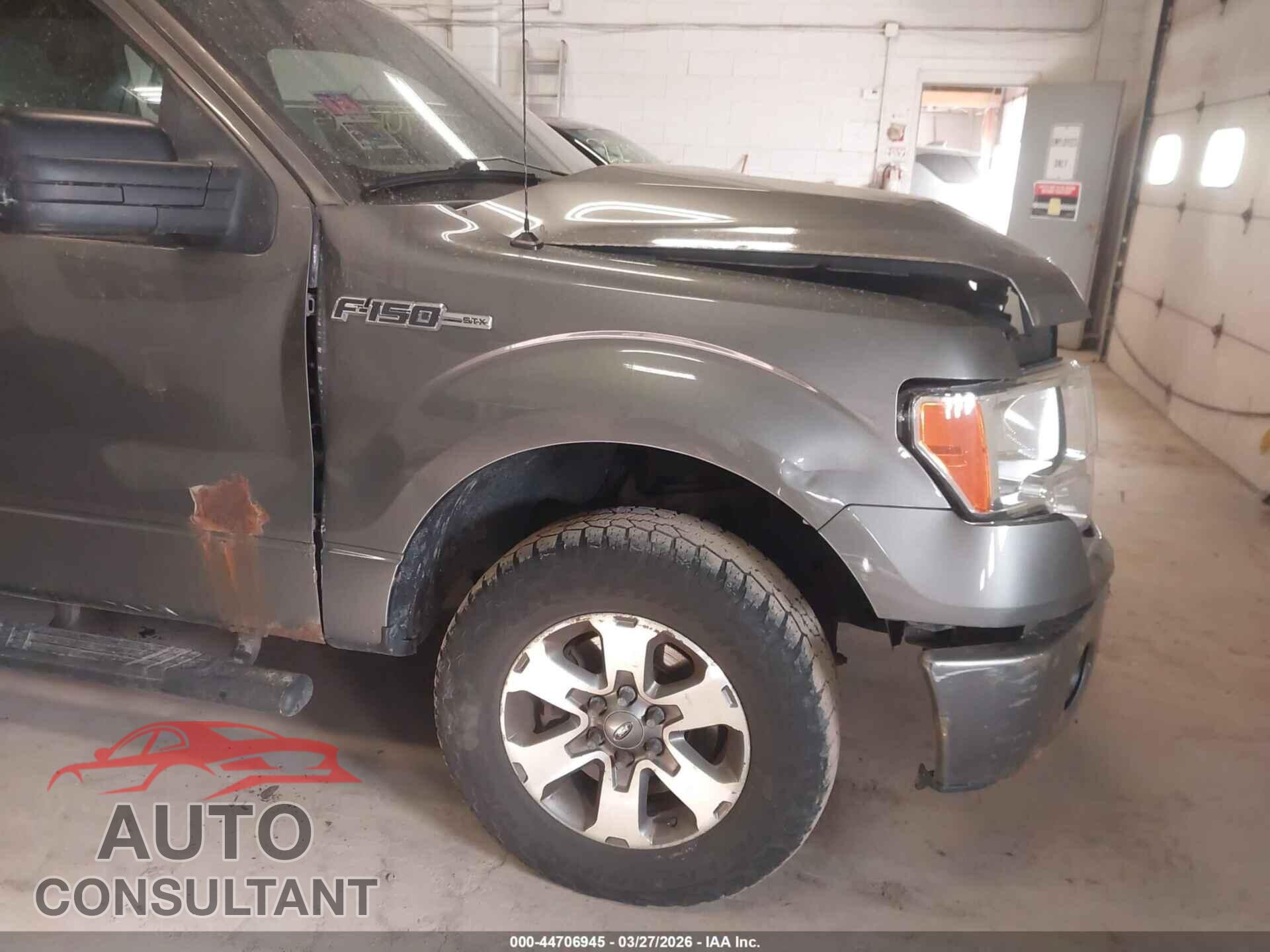 FORD F-150 2013 - 1FTFX1EF3DFD11157