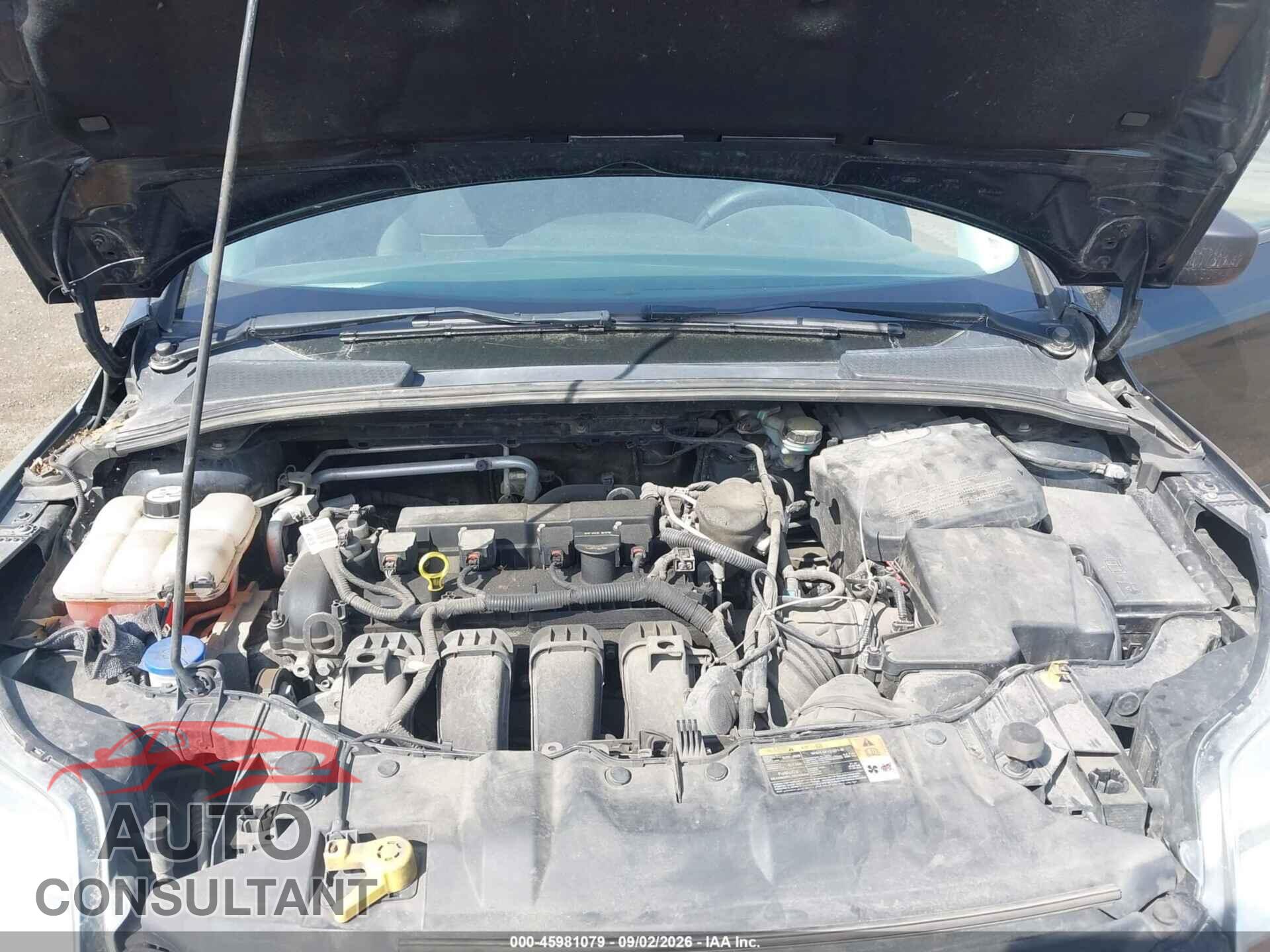 FORD FOCUS 2014 - 1FADP3E20EL248429