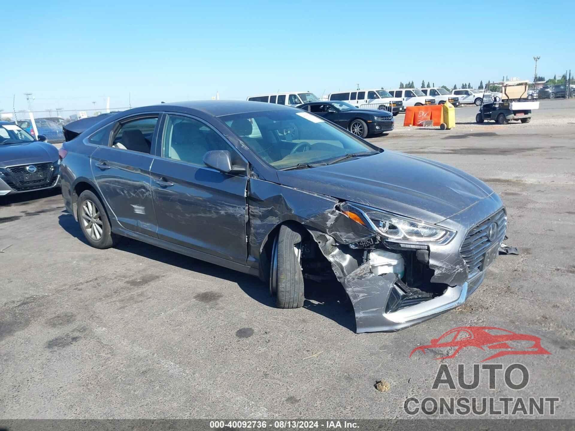 HYUNDAI SONATA 2019 - 5NPE24AF8KH806913