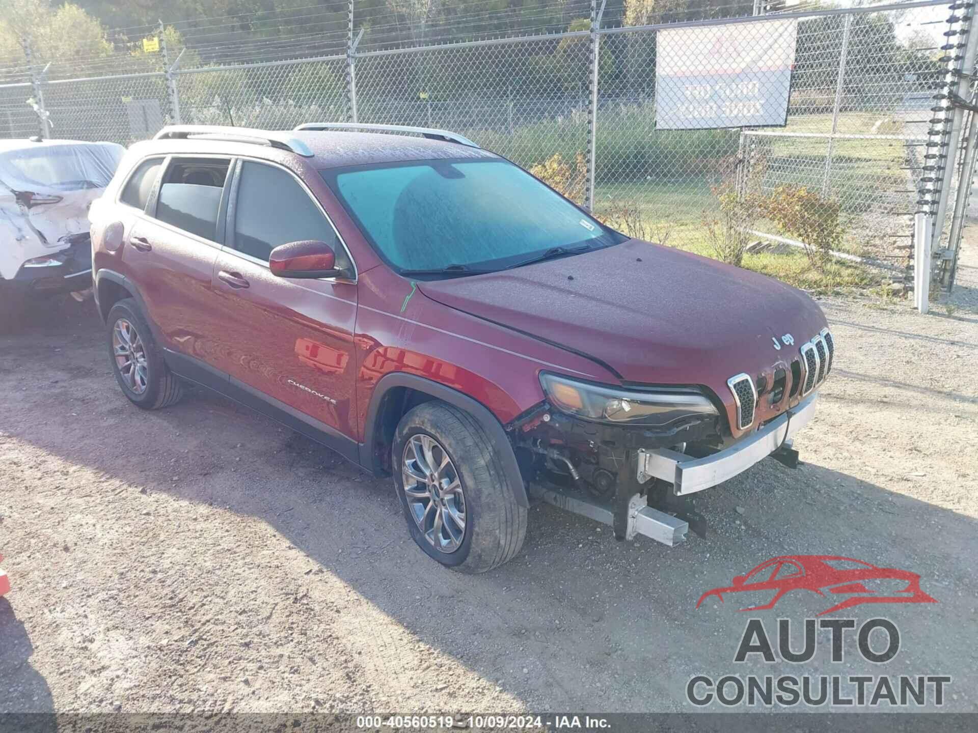 JEEP CHEROKEE 2019 - 1C4PJLLB5KD184664
