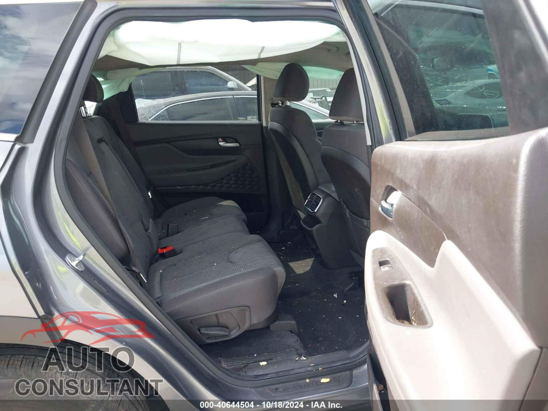 HYUNDAI SANTA FE 2019 - 5NMS33AD6KH008481