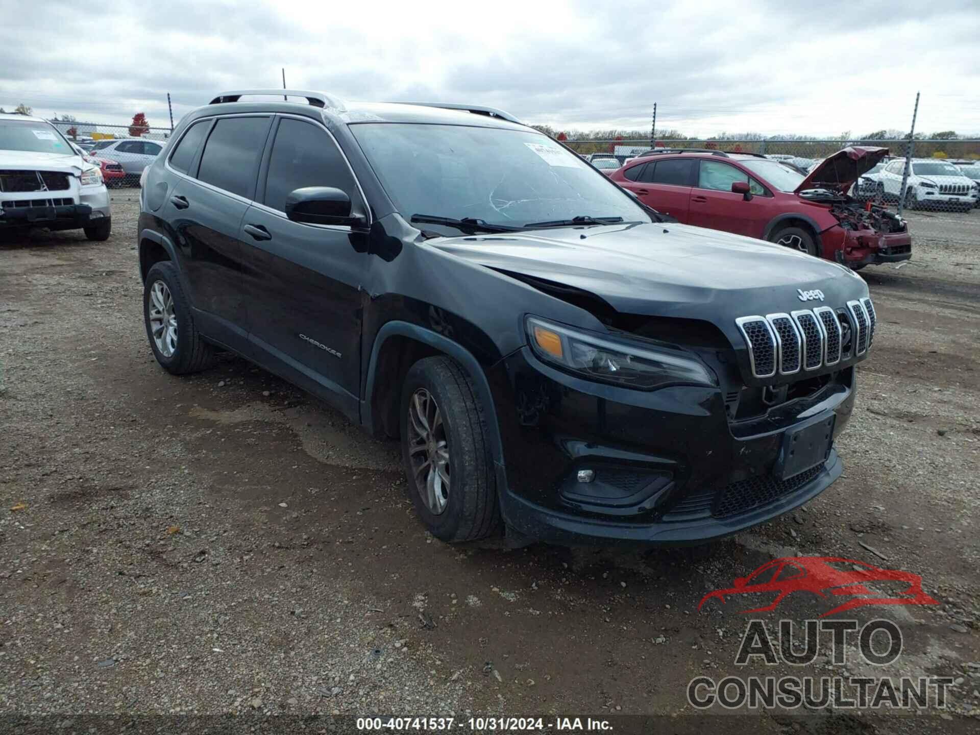 JEEP CHEROKEE 2019 - 1C4PJLCB0KD222477
