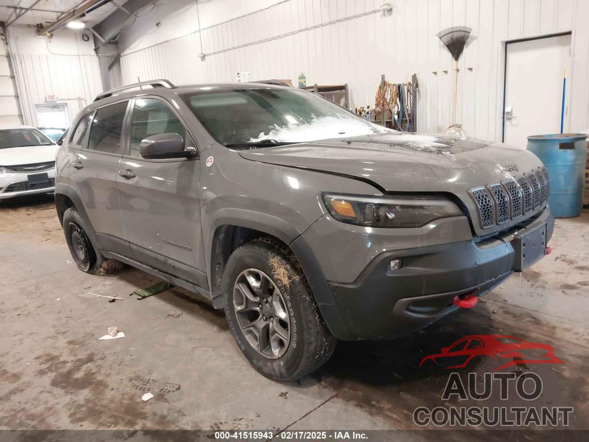 JEEP CHEROKEE 2019 - 1C4PJMBX7KD361203