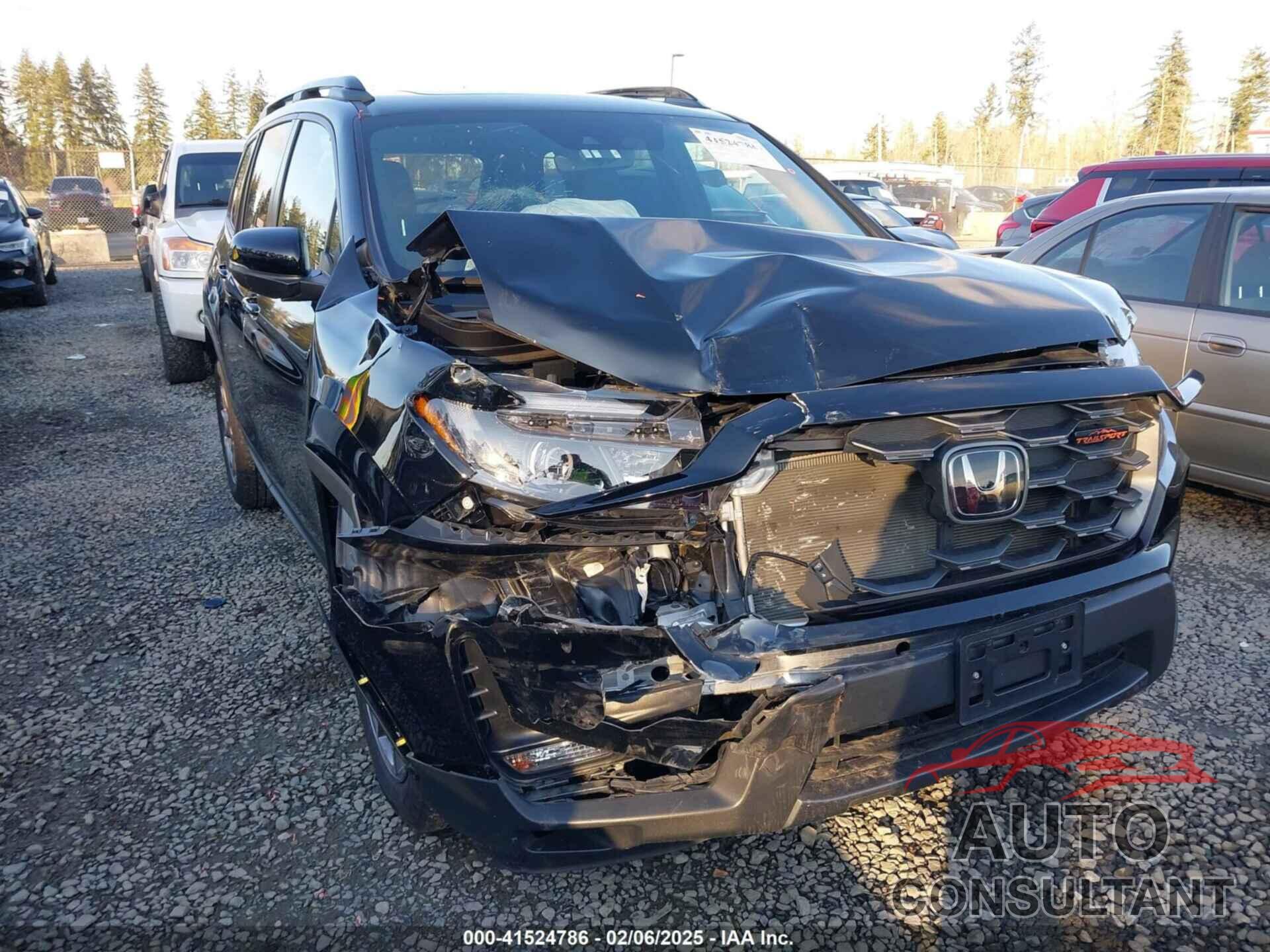 HONDA PASSPORT 2022 - 5FNYF8H63NB019207