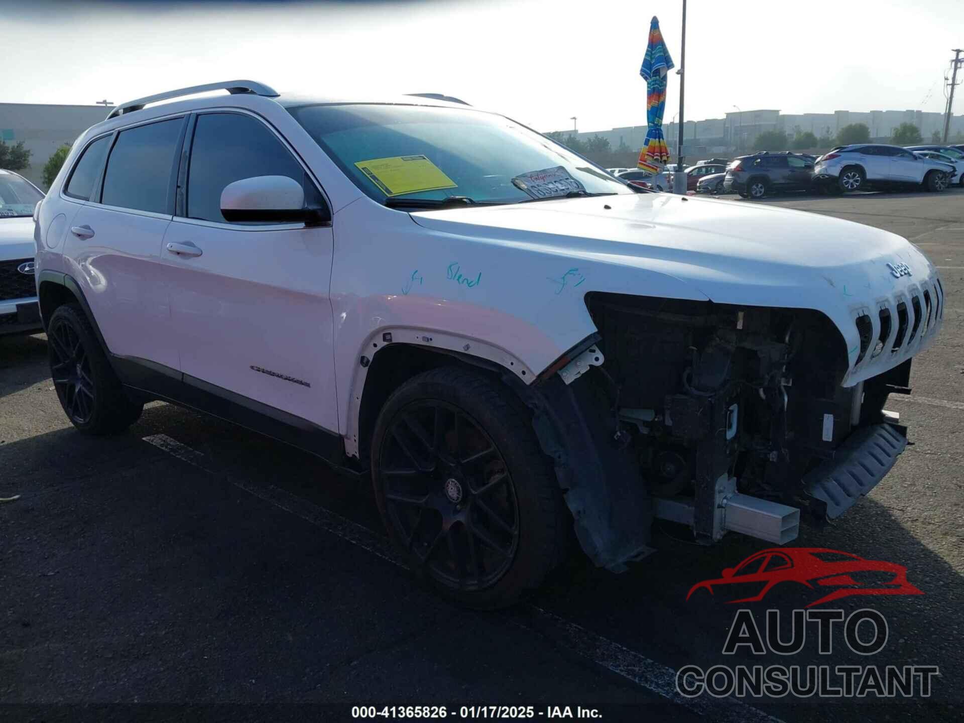 JEEP CHEROKEE 2019 - 1C4PJLLB1KD131573