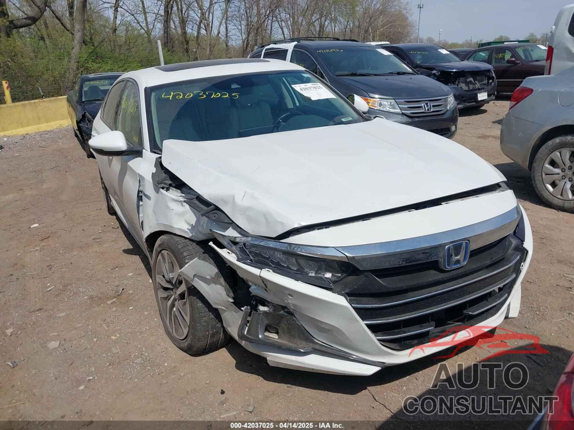 HONDA ACCORD 2021 - 1HGCV3F59MA023409